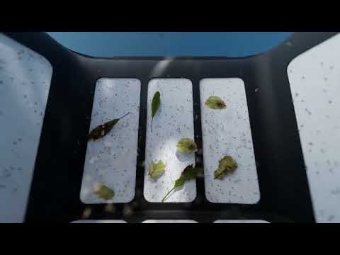 Carica video: