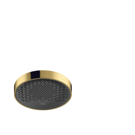 Hansgrohe - Rainfinity Ducha fija 250 1jet PowderRain EcoSmart color oro pulido