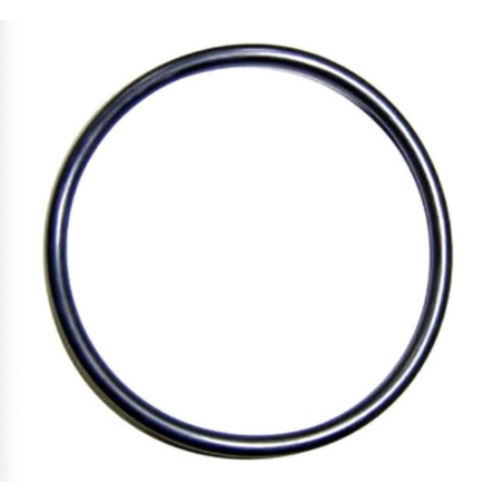 AstralPool - O-ring seal for Smart and Elite salt water chlorinators