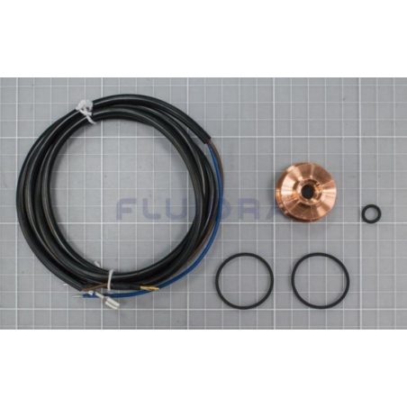 AstralPool - Electrodo de cobre de recambio para modelo galvánico