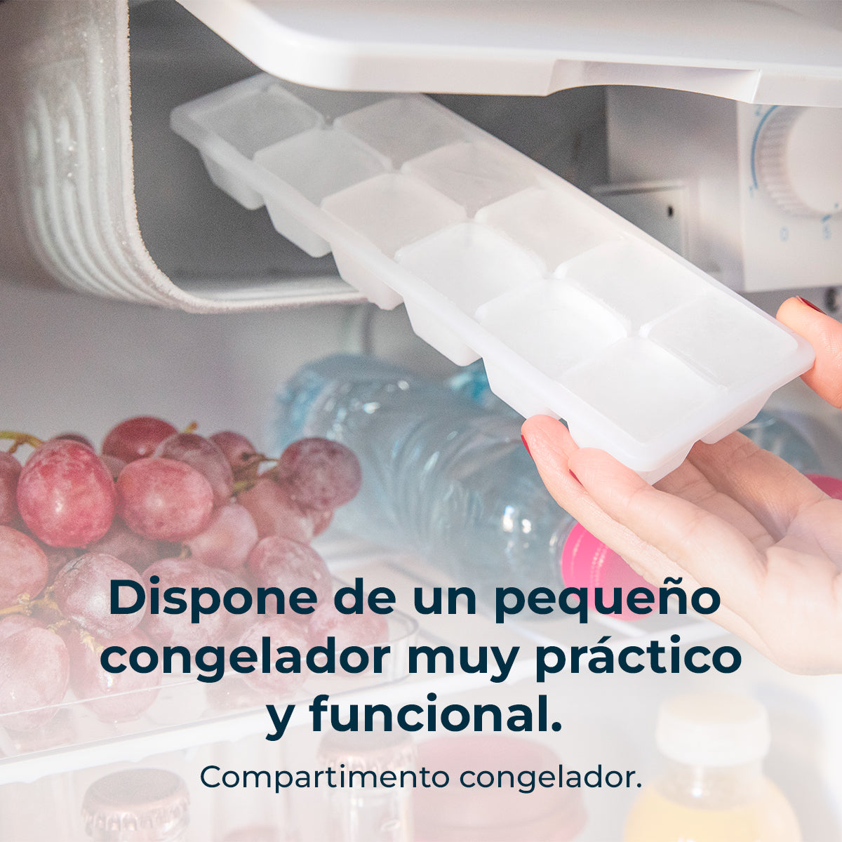 Cecotec GrandCooler 20000 SilentCompress Refrigerador Blanco 46 L Puerta Reversible Compartimento Congelador