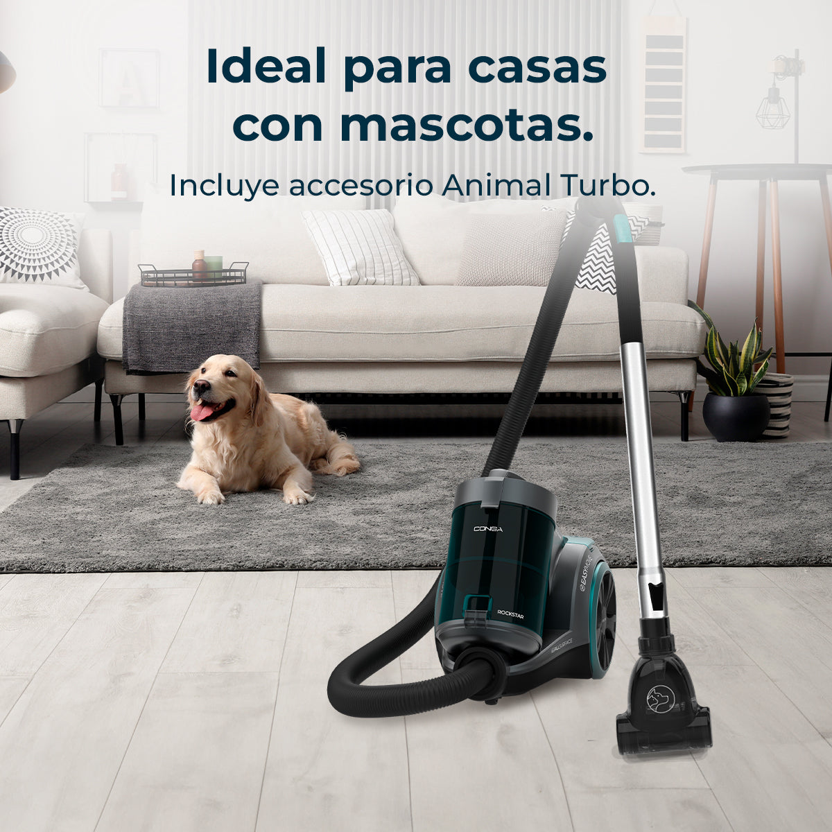 Cecotec Conga Rockstar Multicyclonic XL PowerStyle Aspirateur 900 W ForceSonic 170 AW 20 kPa Animal Turbo