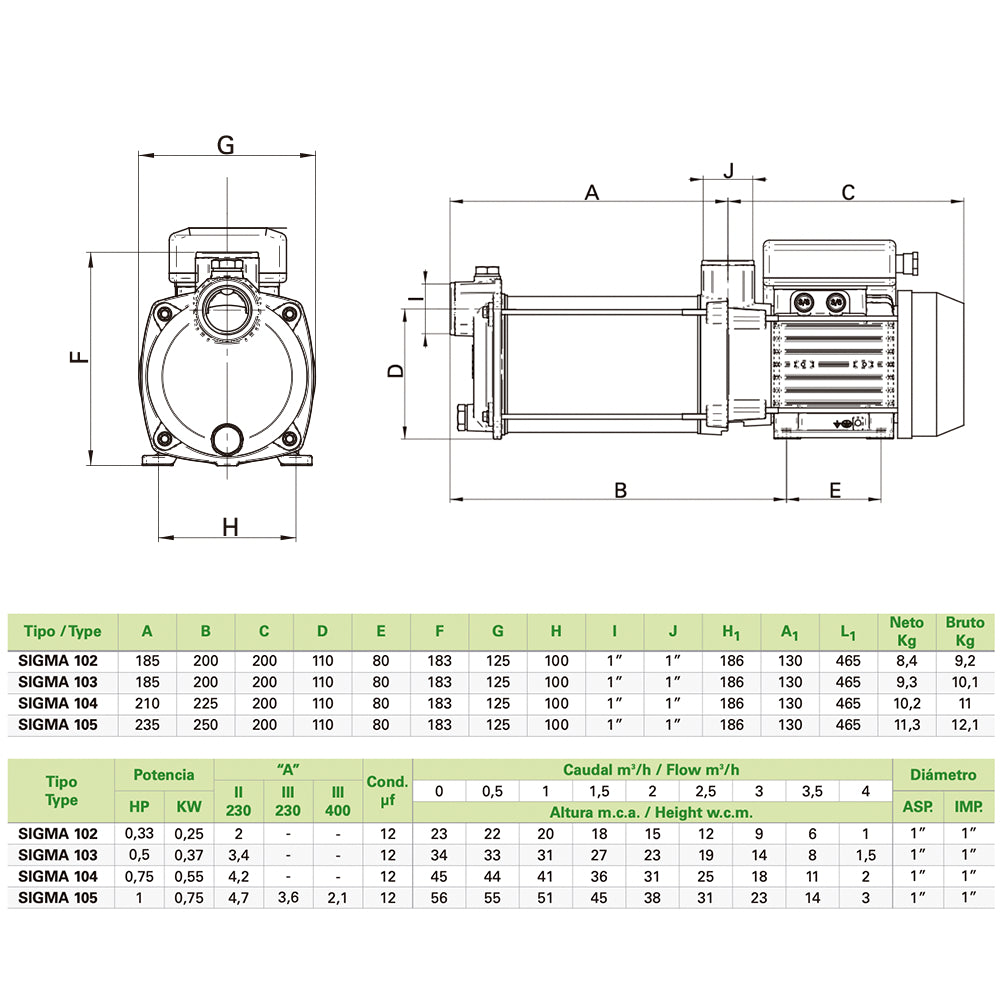 Saci - Sigma 100 Water Pump