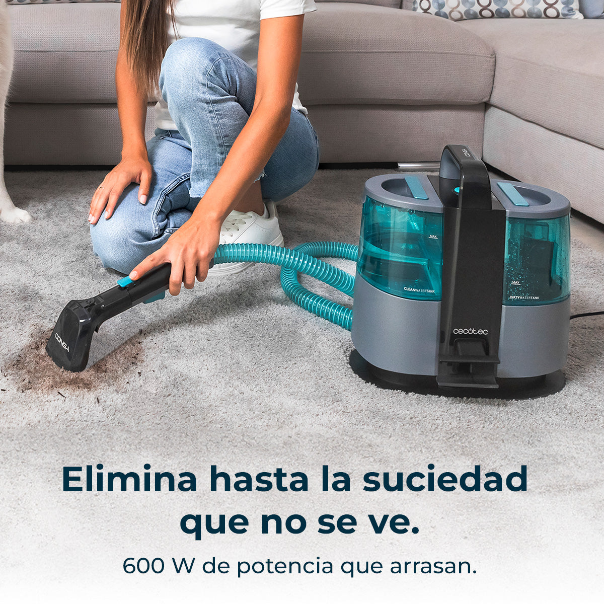 Cecotec Conga 4000 Carpet Clean XL Advance Staubsauger 600 W, 5 m Aktionsradius, 3-in-1
