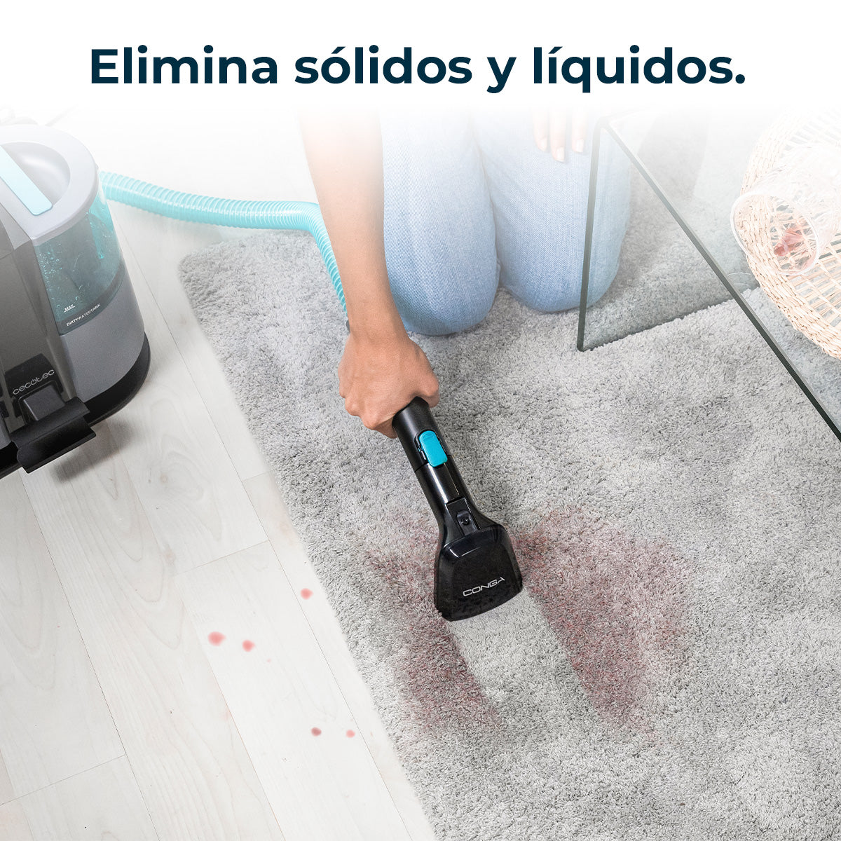 Cecotec Conga 4000 Carpet Clean XL Advance Staubsauger 600 W, 5 m Aktionsradius, 3-in-1