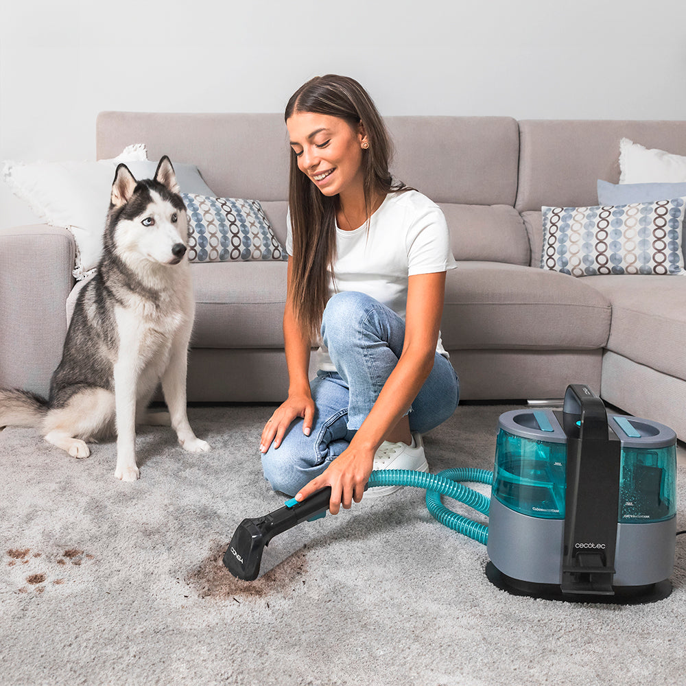 Cecotec Conga 4000 Carpet Clean XL Advance Staubsauger 600 W, 5 m Aktionsradius, 3-in-1