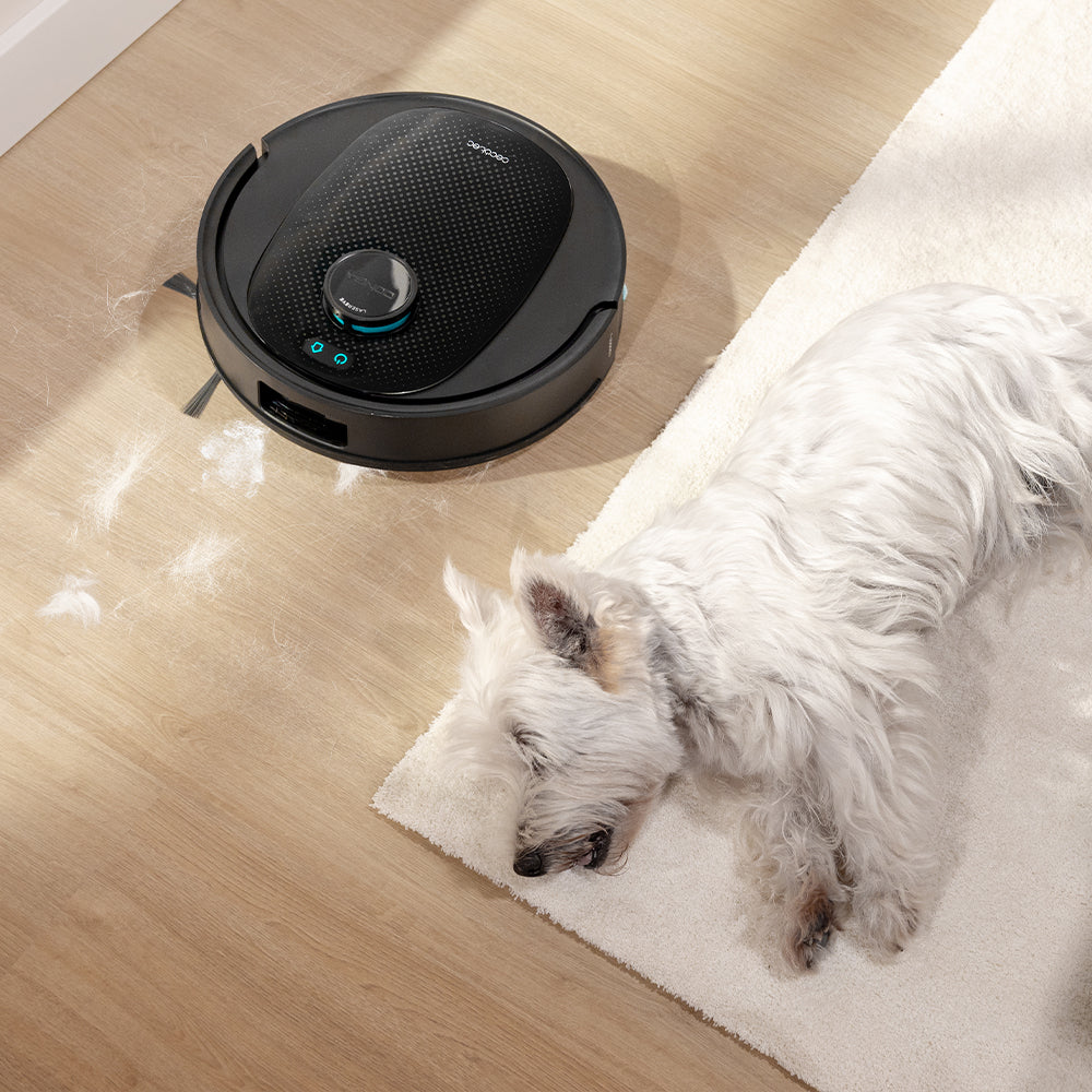 Cecotec Conga Y80 Robot Aspirateur IA Laser Eye, Navigation Intelligente et Carte Interactive
