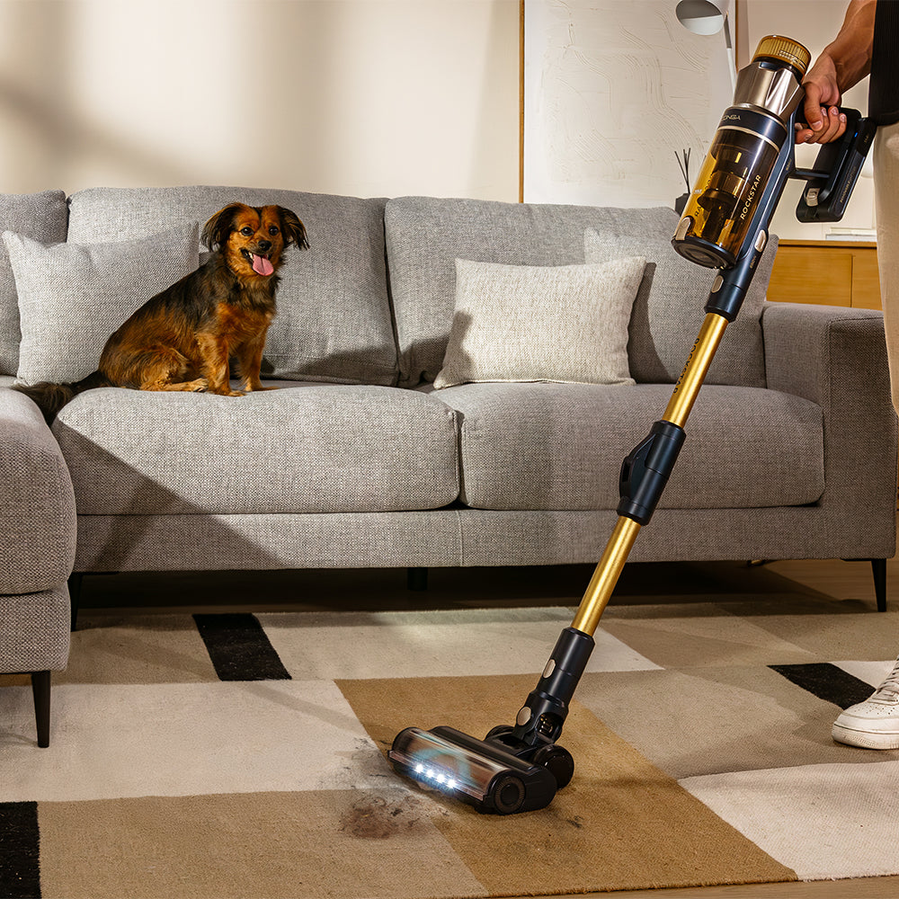 Cecotec Conga Rockstar RS90 Pet Flex Aspirador Potência 600 W Sucção 160 AW Para Casa