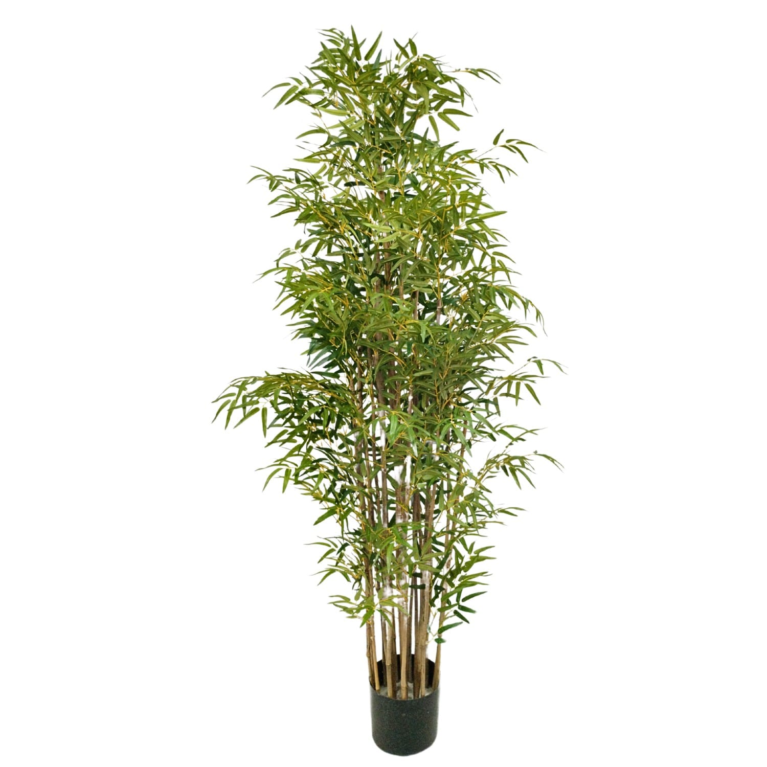 https://www.unicesped.com/wp-content/uploads/2025/12/Arbol-Bambu-deluxe.jpg