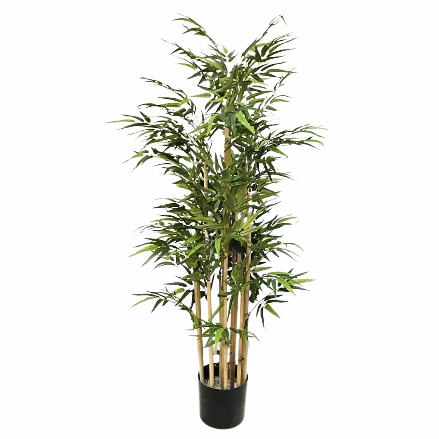https://www.unicesped.com/wp-content/uploads/2025/12/Arbol-Bambu-premium.jpg