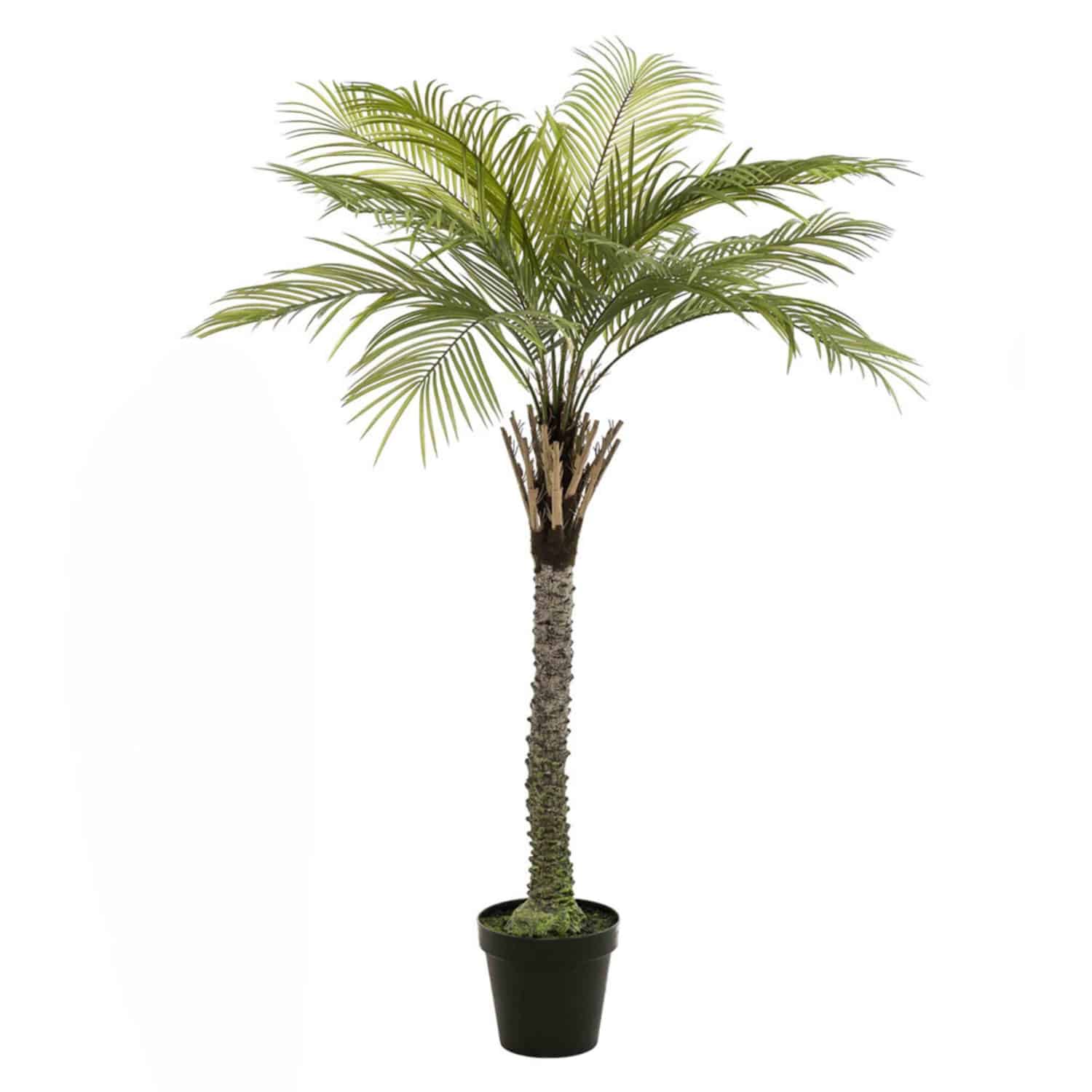 https://www.unicesped.com/wp-content/uploads/2025/12/Arbol-Palmera-260-cm.jpg