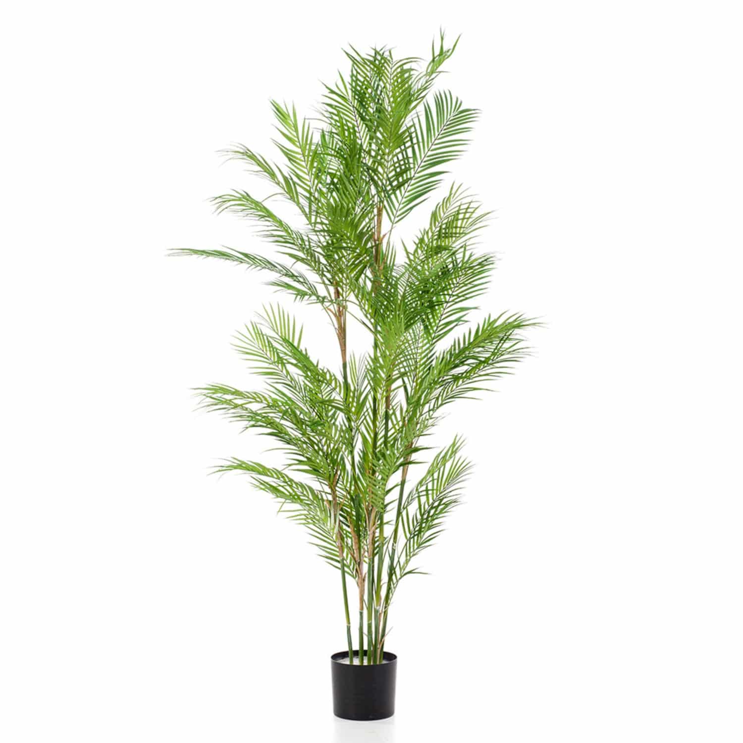 https://www.unicesped.com/wp-content/uploads/2025/12/Arbol-palmera-style-180cm.jpg
