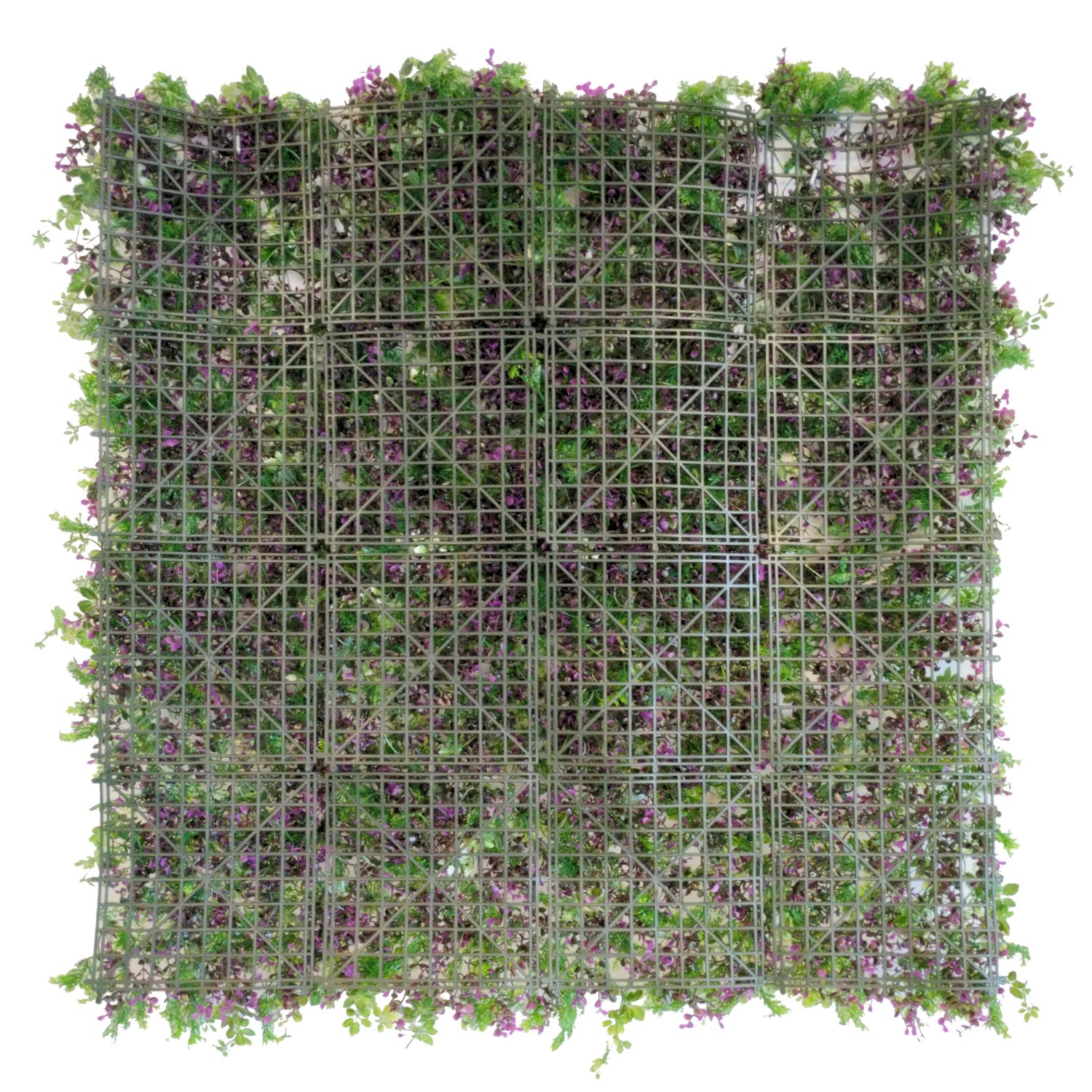 https://www.unicesped.com/wp-content/uploads/2025/12/Backing-Fantasy-Garden.jpg
