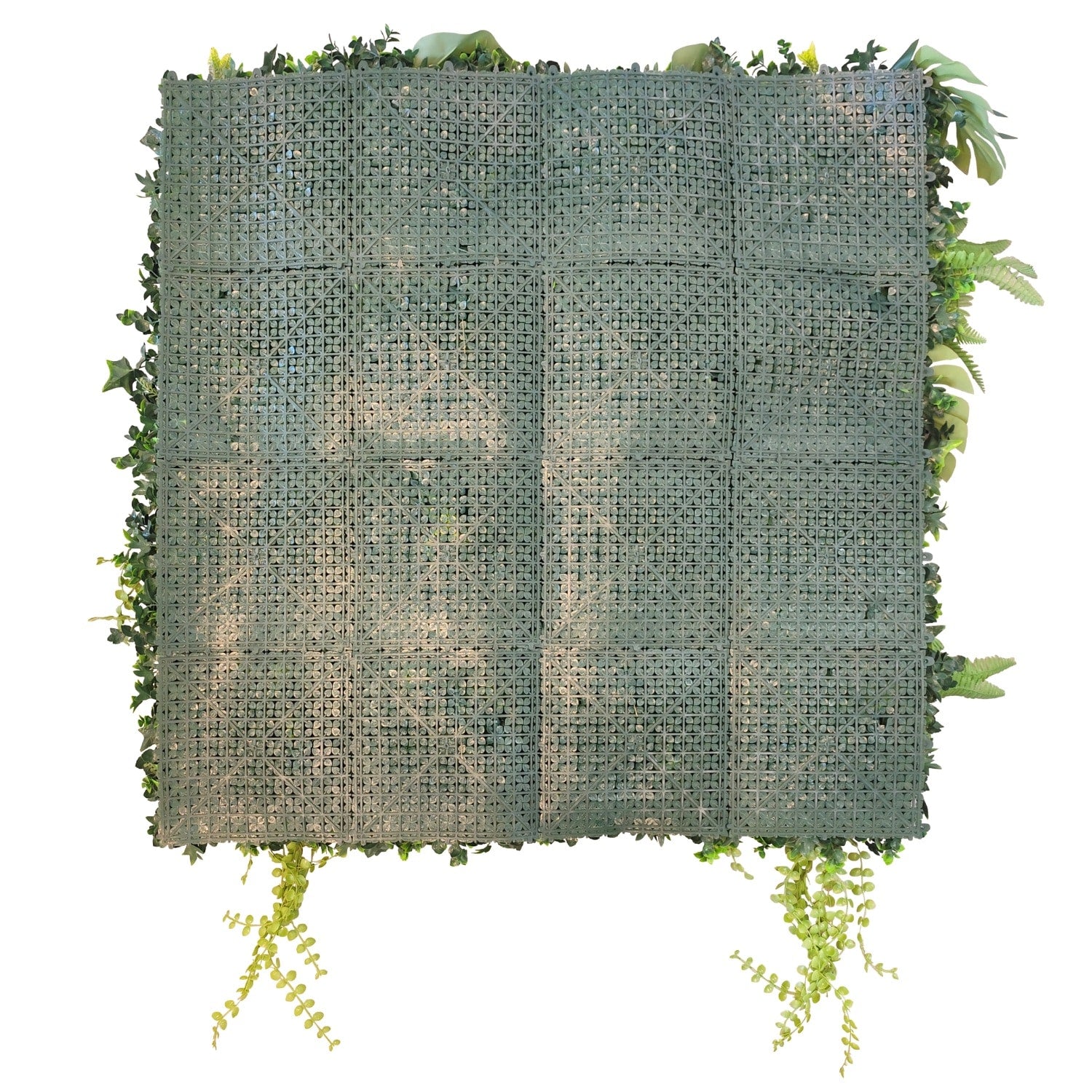 https://www.unicesped.com/wp-content/uploads/2025/12/Backing-New-Rainforest.jpg