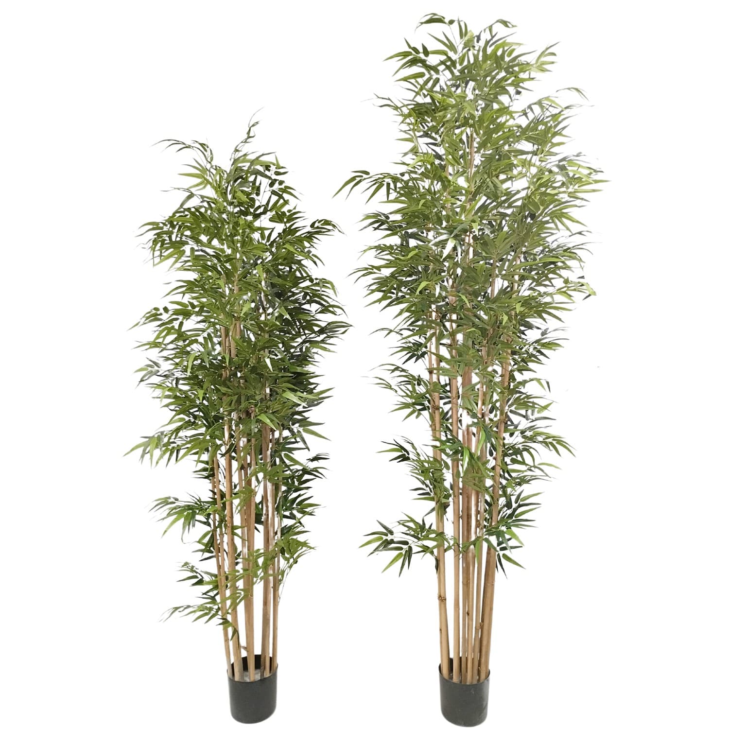 https://www.unicesped.com/wp-content/uploads/2025/12/Bambu-acabado-premium-210-y-240-cm.jpg