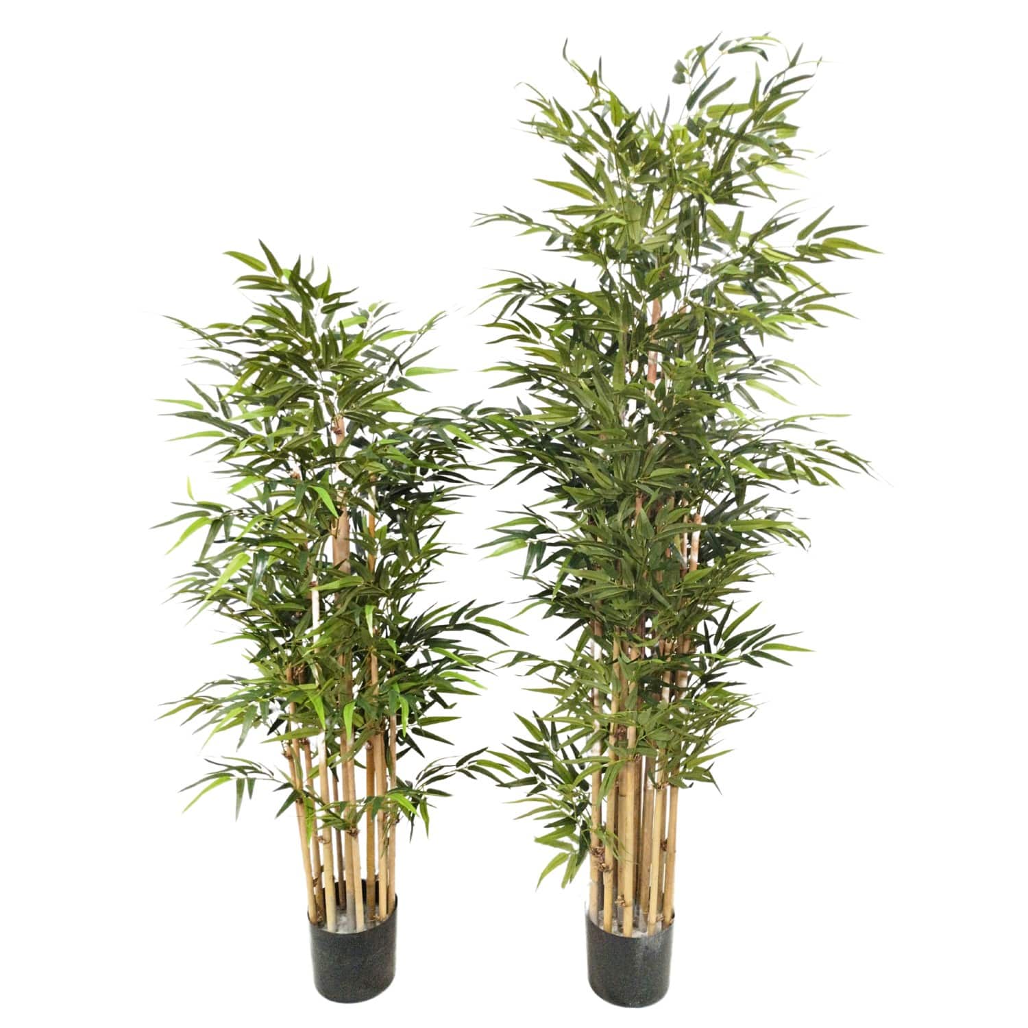 https://www.unicesped.com/wp-content/uploads/2025/12/Bambu-premium-150-cm-y-180-cm.jpg