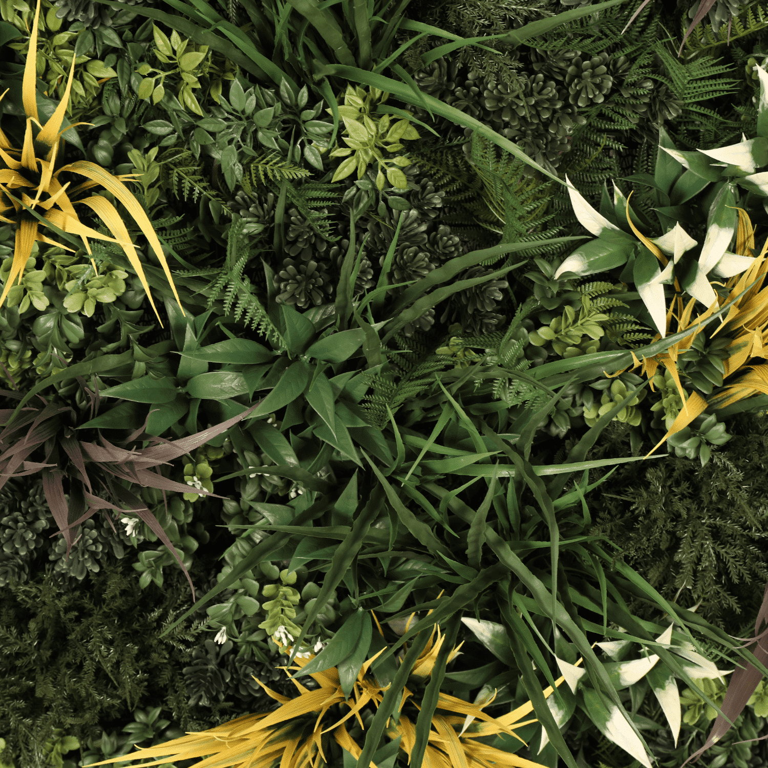 https://www.unicesped.com/wp-content/uploads/2025/12/Biogarden-hojas.png