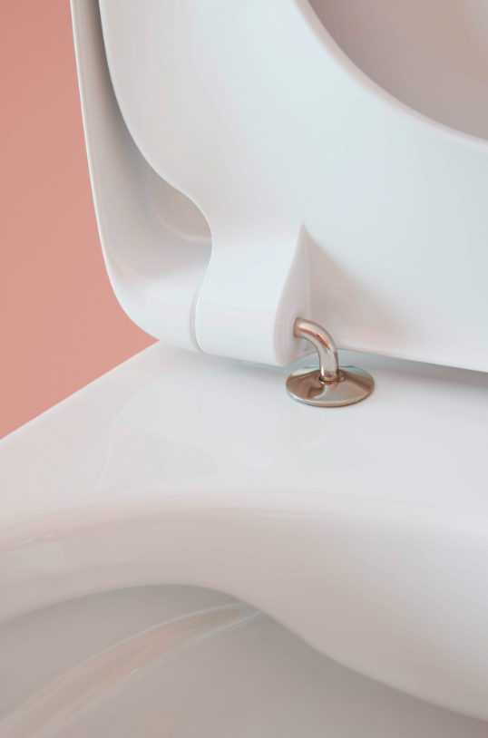 Roca - Supalit ® Victoria Cover und Edelstahlscharnier A801E50001