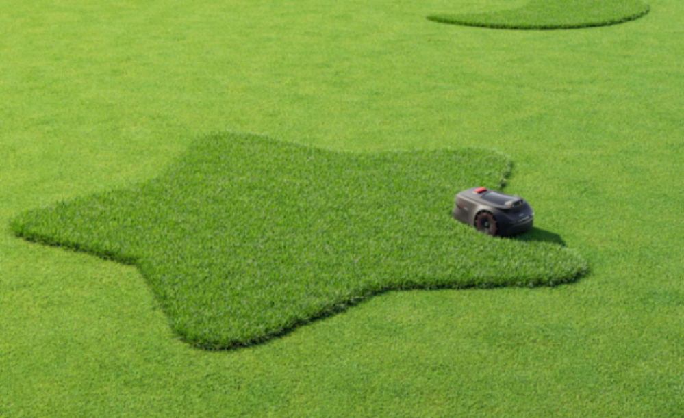 Modelli personalizzati