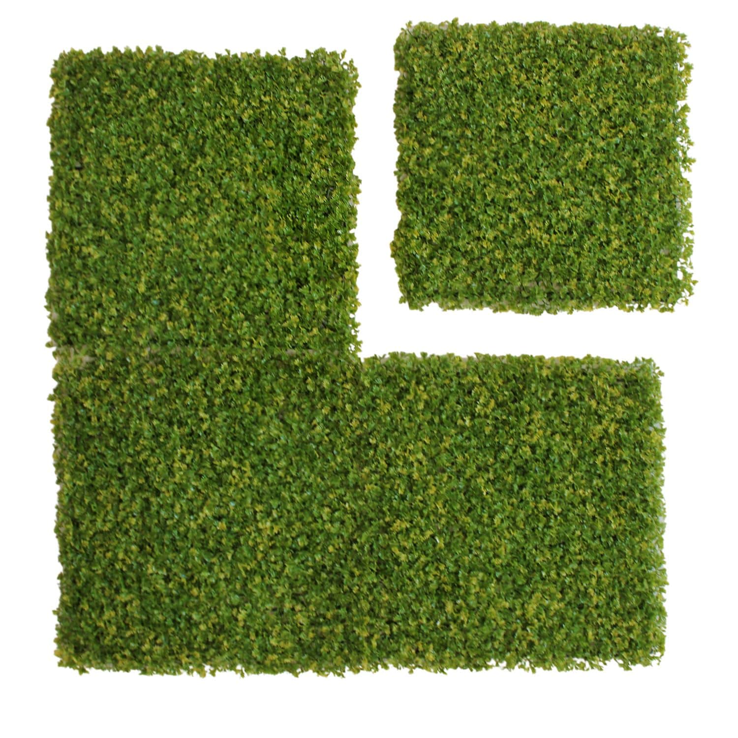 https://www.unicesped.com/wp-content/uploads/2025/12/Celery-Leaf-Hoja-de-apio-placas.jpg