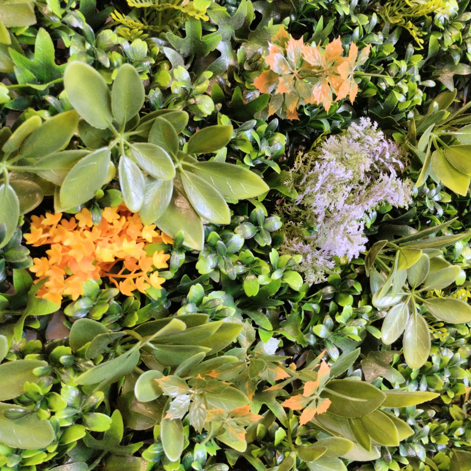 https://www.unicesped.com/wp-content/uploads/2025/12/Detalles-Jardin-Vertical-Eden-Garden.jpg