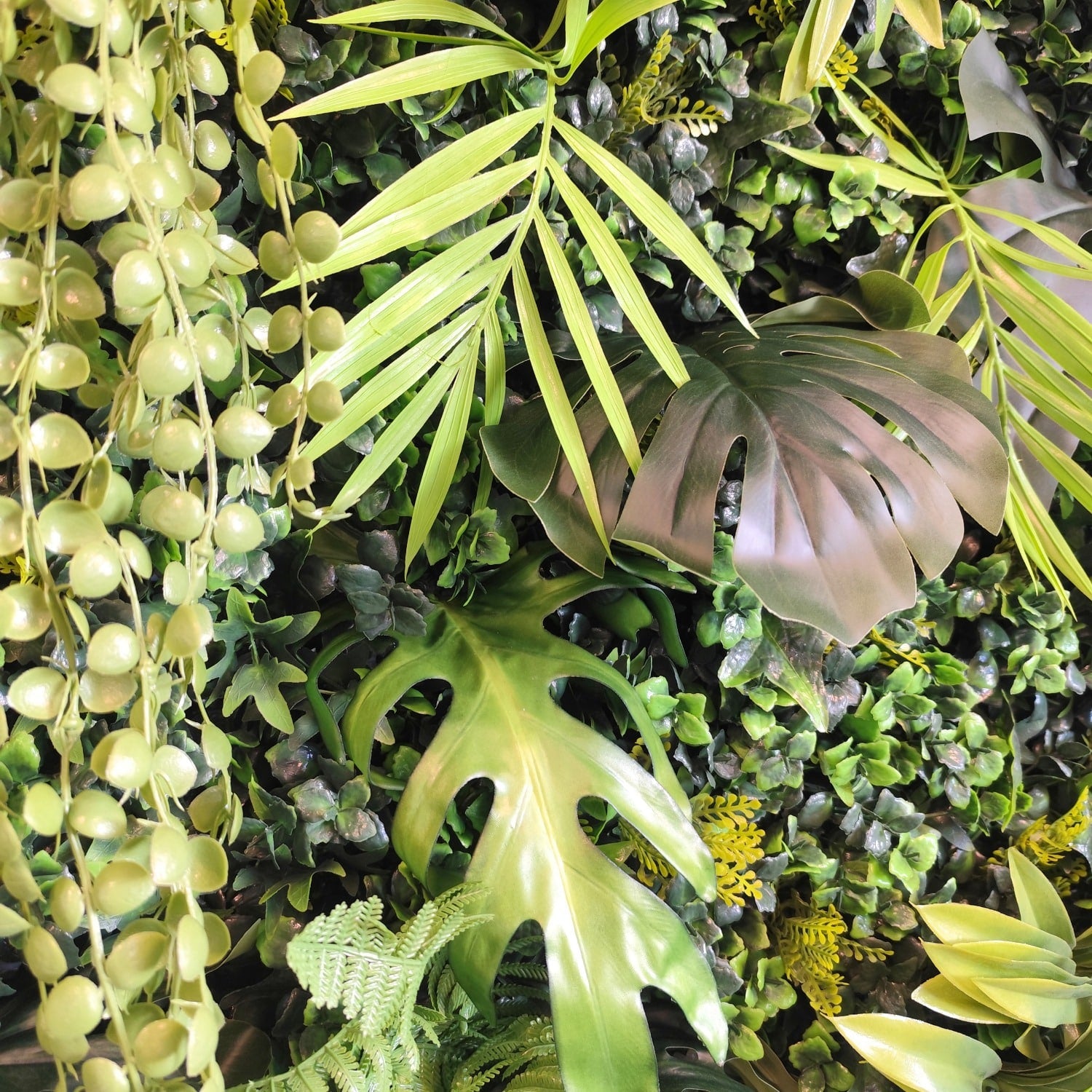 https://www.unicesped.com/wp-content/uploads/2025/12/Detalles-new-rainforest.jpg