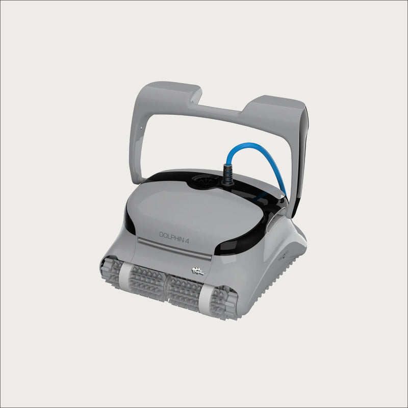 Dolphin 4