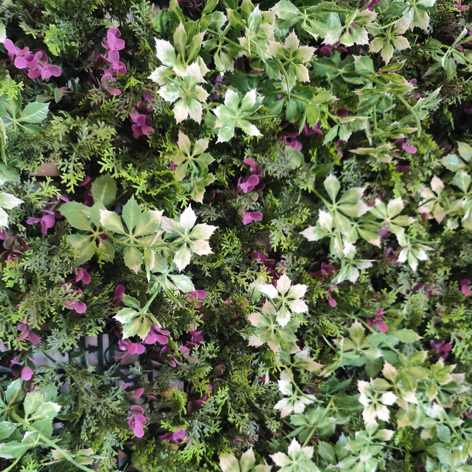 https://www.unicesped.com/wp-content/uploads/2025/12/Fantasy-Garden-detalles.jpg