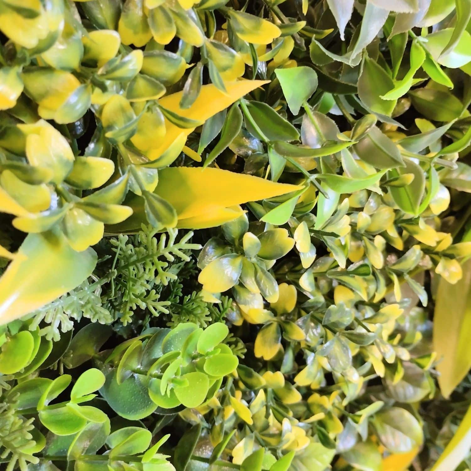 https://www.unicesped.com/wp-content/uploads/2025/12/Fenix-frame-detalle-2.jpg