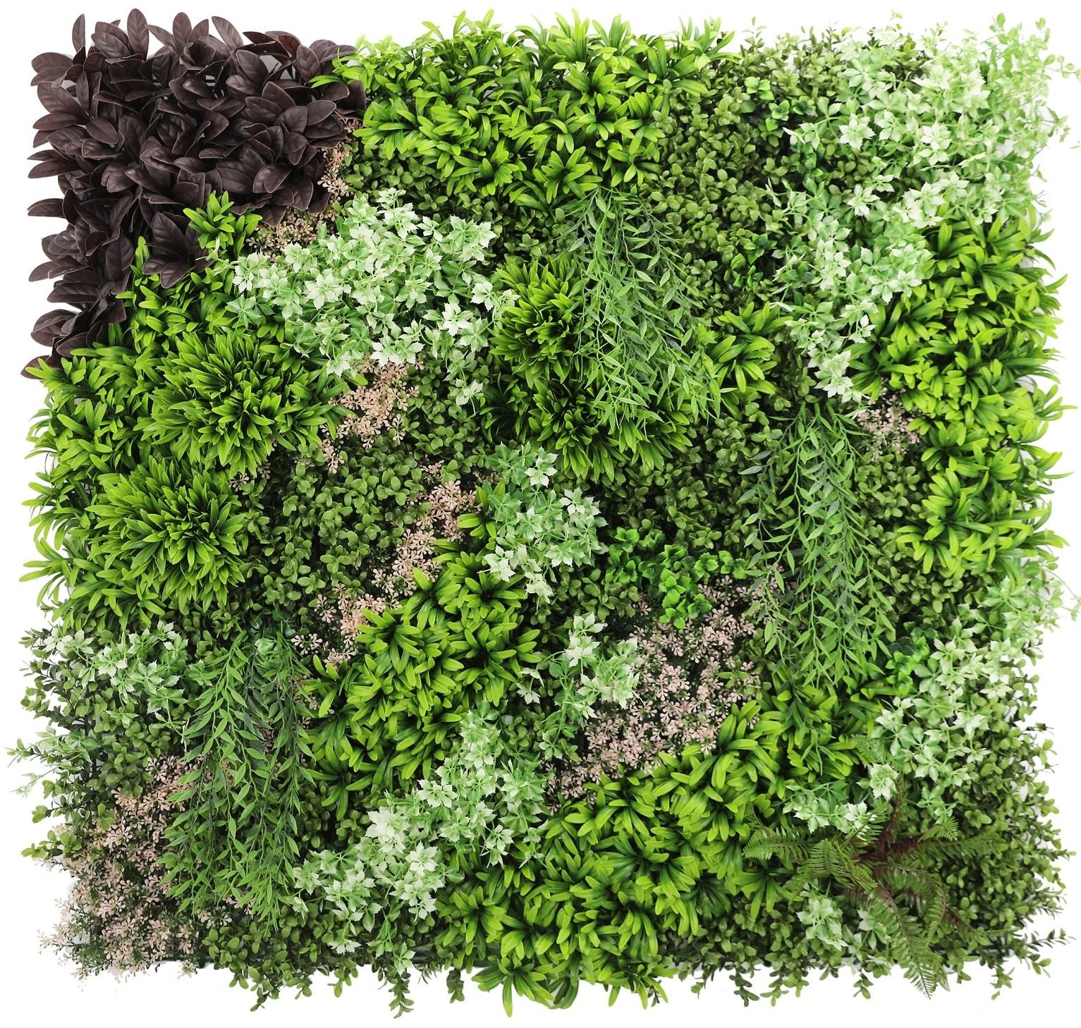 https://www.unicesped.com/wp-content/uploads/2025/12/Fresh-Garden-e1695046049825.jpg