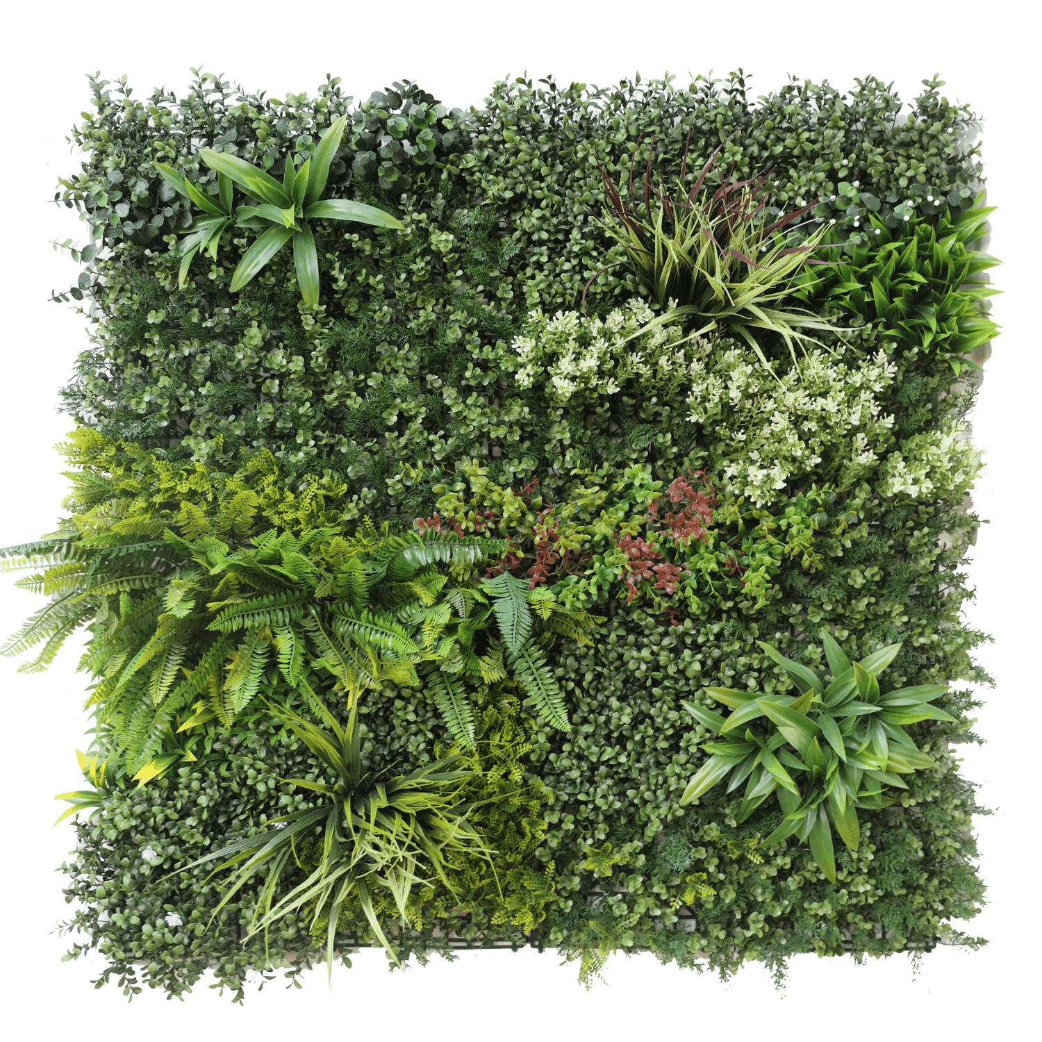 https://www.unicesped.com/wp-content/uploads/2025/12/Green-Nature.png