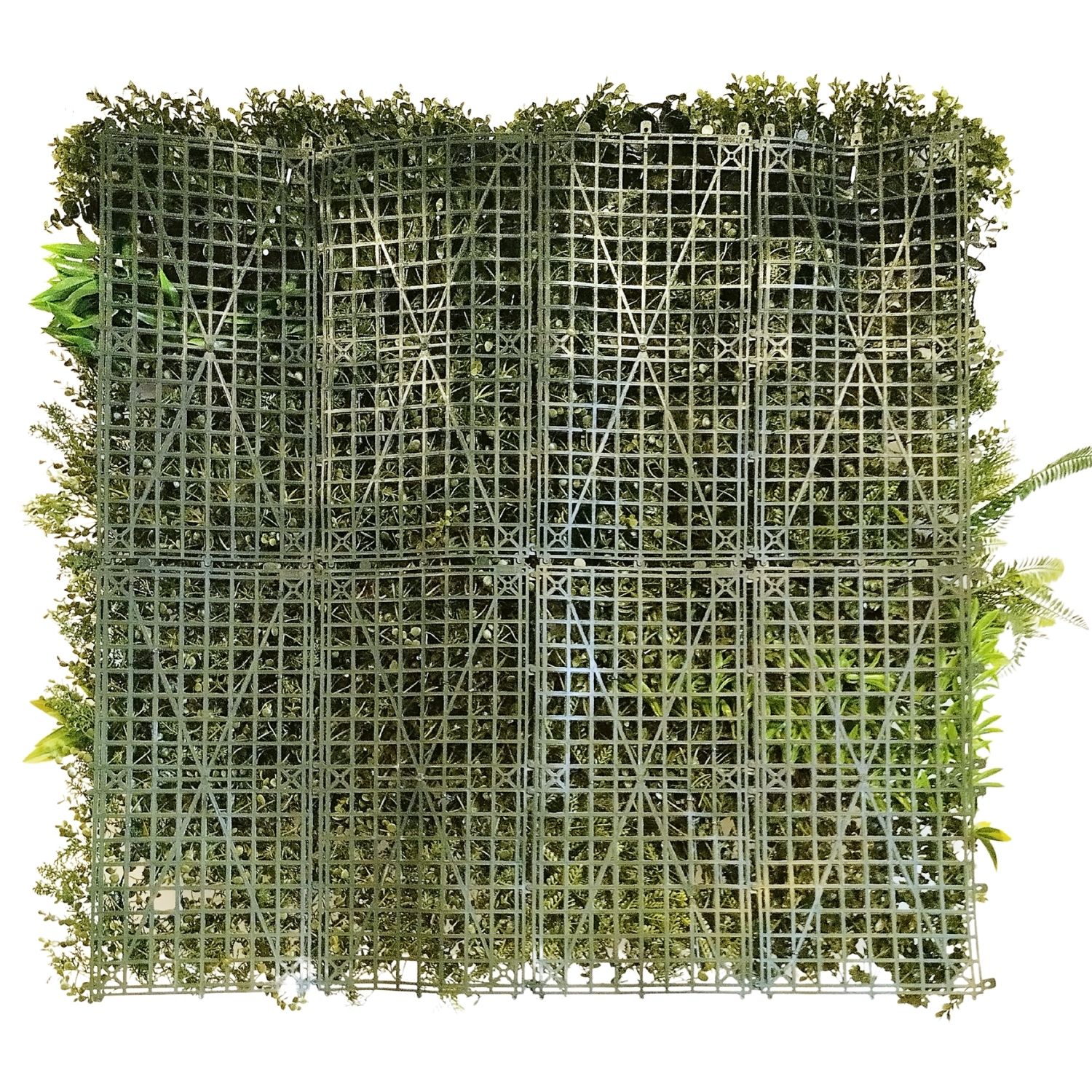 https://www.unicesped.com/wp-content/uploads/2025/12/Green-nature-backing.jpg