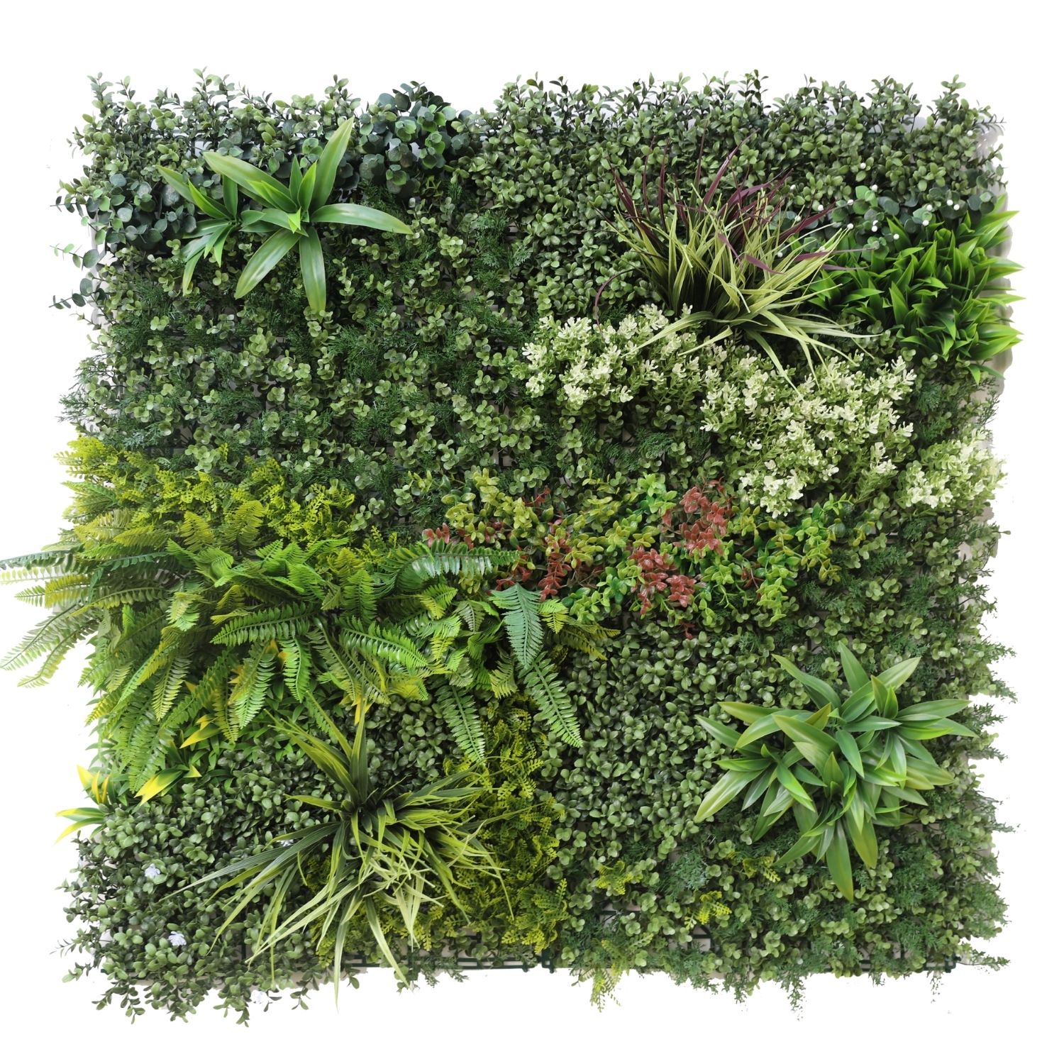 https://www.unicesped.com/wp-content/uploads/2025/12/Green-nature.jpg