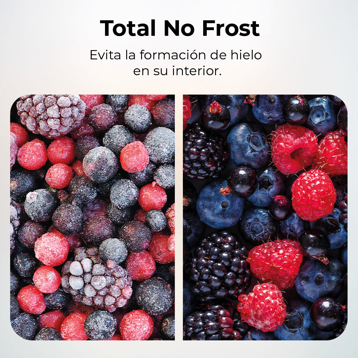 Cecotec Bolero CoolMarket 360 L Inox Frigorífico