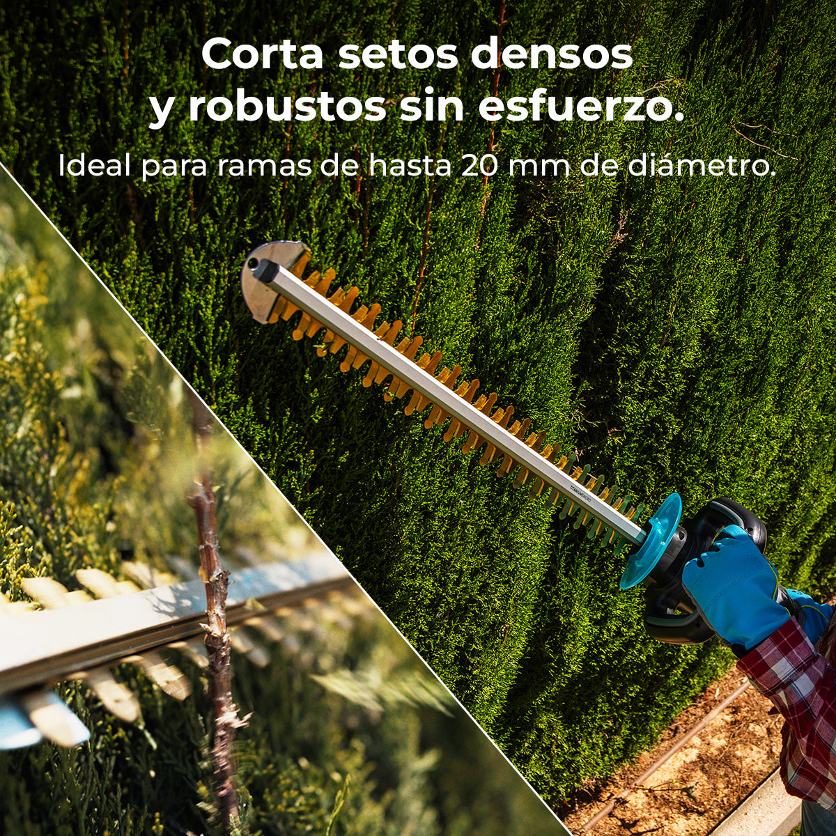 Cecotec Cortasetos TitaniumSword 610 XL