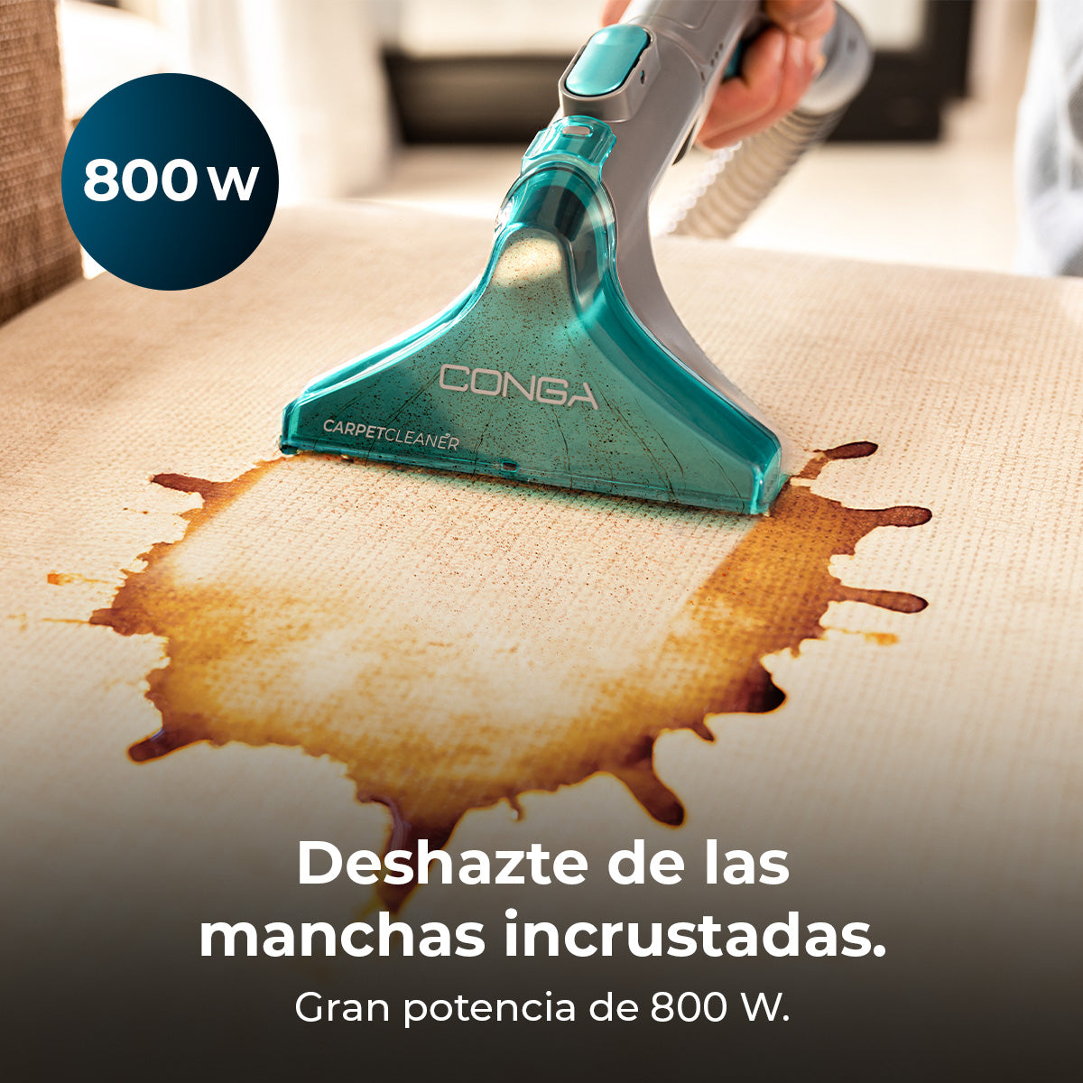 Cecotec Conga CarpetClean 10000 EasyHome Limpiatapicerías Trineo 800 W Potencia