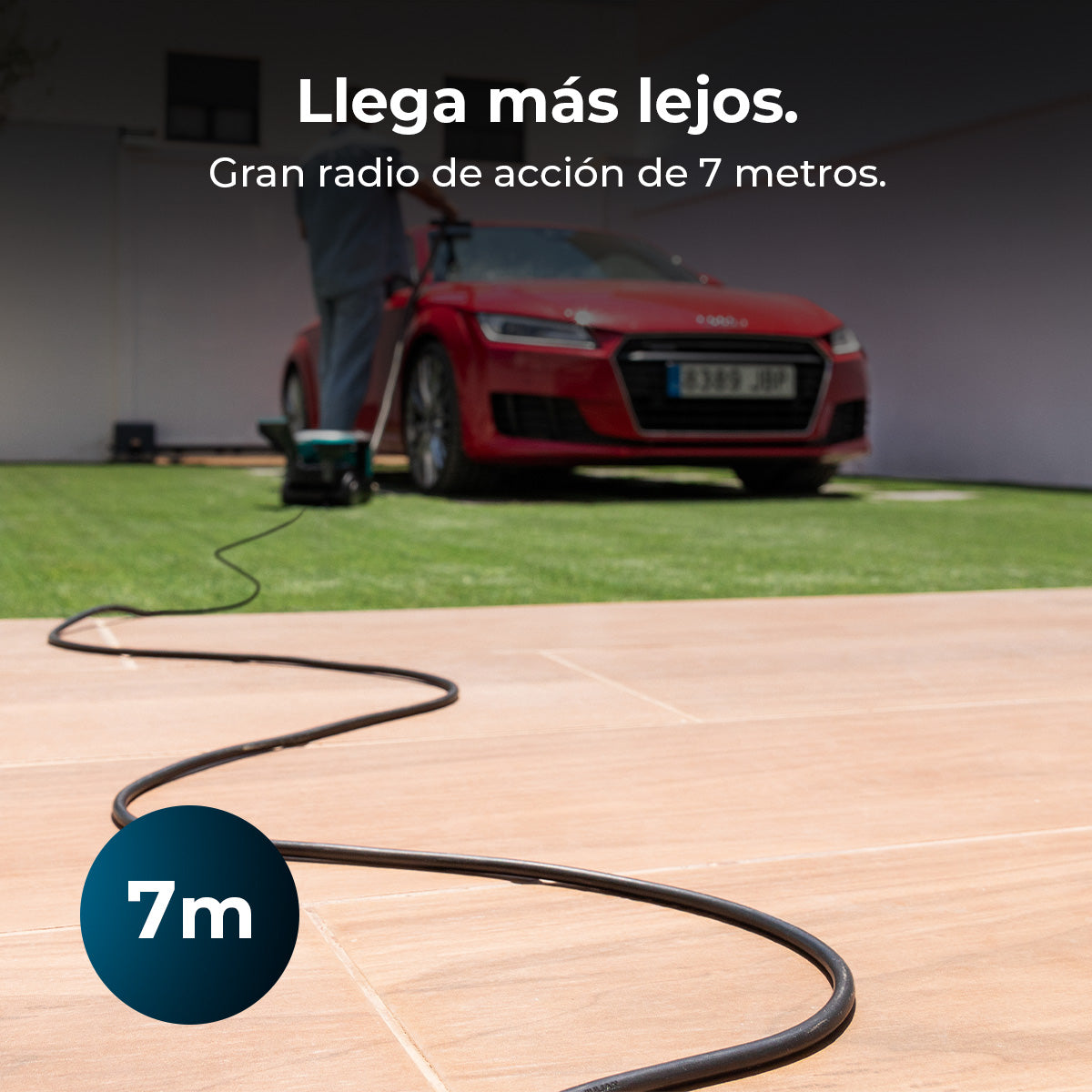 Cecotec Conga CarpetClean 10000 EasyHome Limpiatapicerías Trineo 800 W Potencia