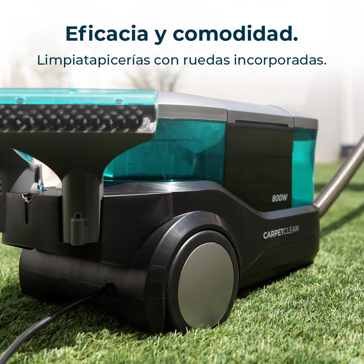 Cecotec Conga CarpetClean 10000 EasyHome Limpiatapicerías Trineo 800 W Potencia