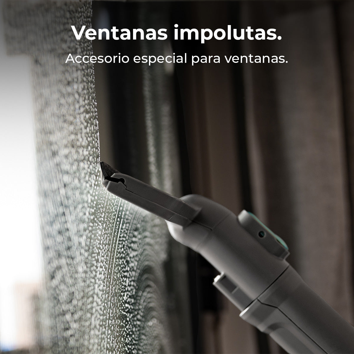Cecotec Conga CarpetClean 10000 EasyHome Limpiatapicerías Trineo 800 W Potencia