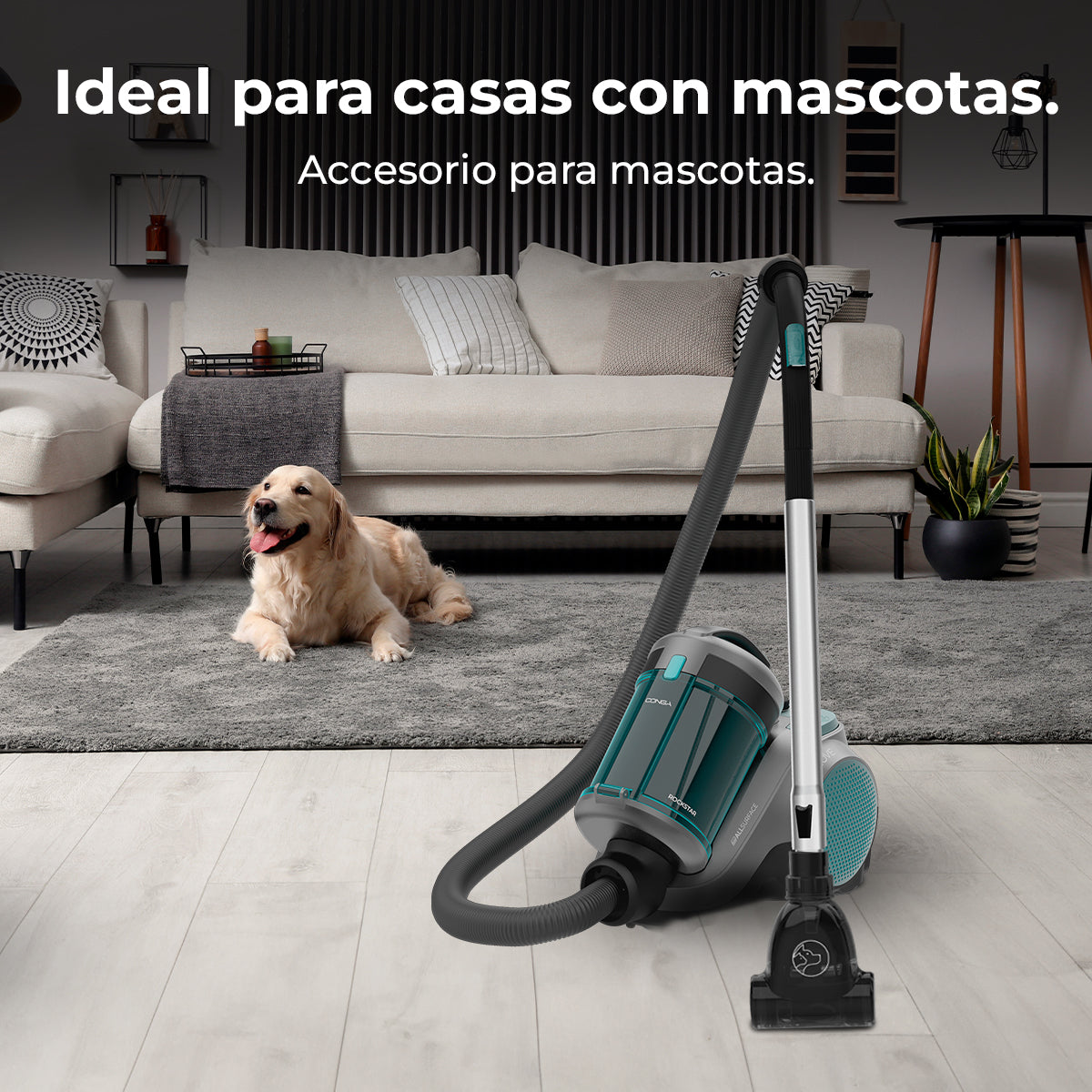 Cecotec Conga Rockstar Cyclonic Powerbag Aspiradora Trineo 900 W Sin Bolsa Con Bolsa Indicador de Depósito