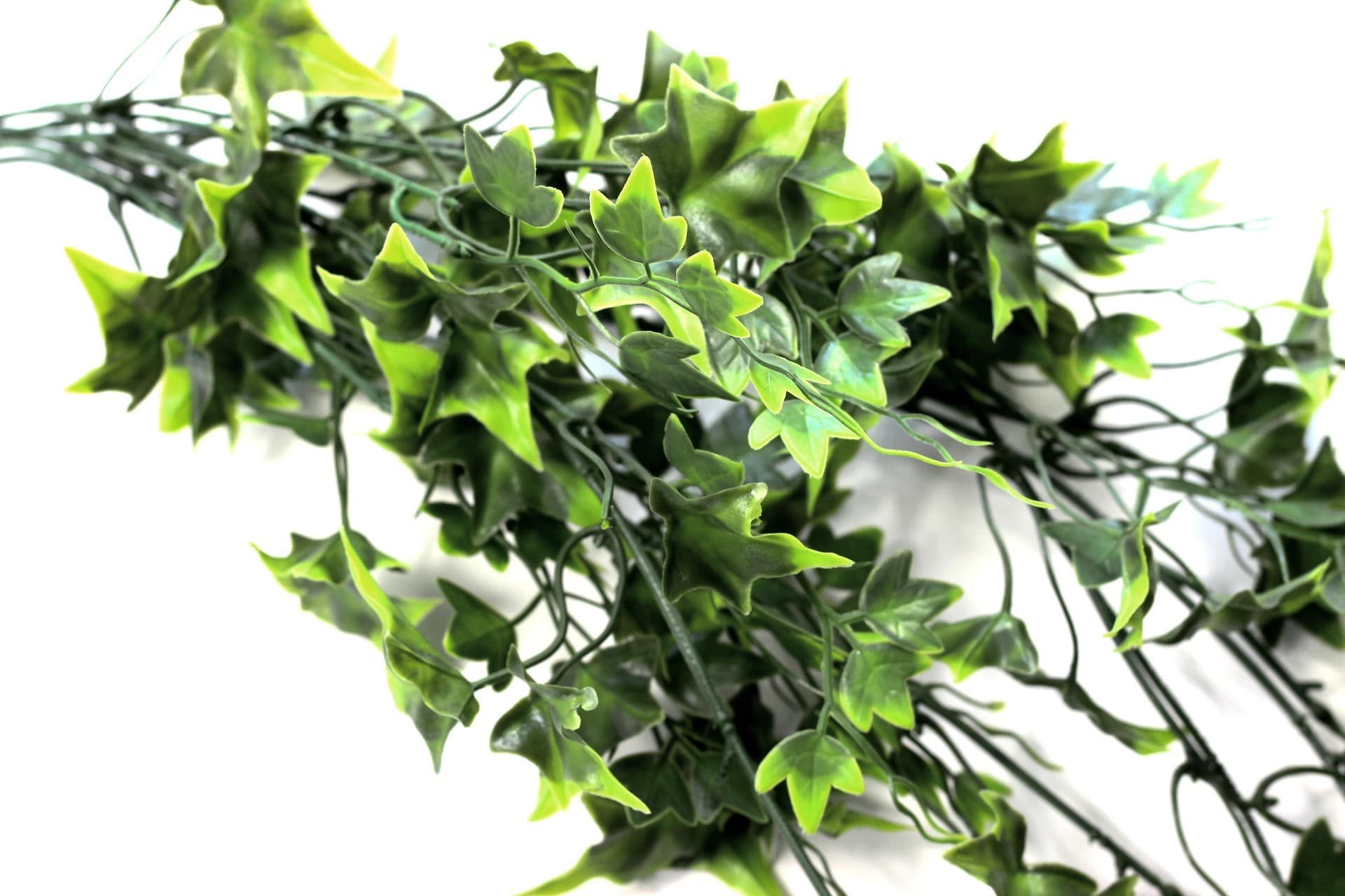 https://www.unicesped.com/wp-content/uploads/2025/12/Hiedra-Sagitifolia-detalle.jpg