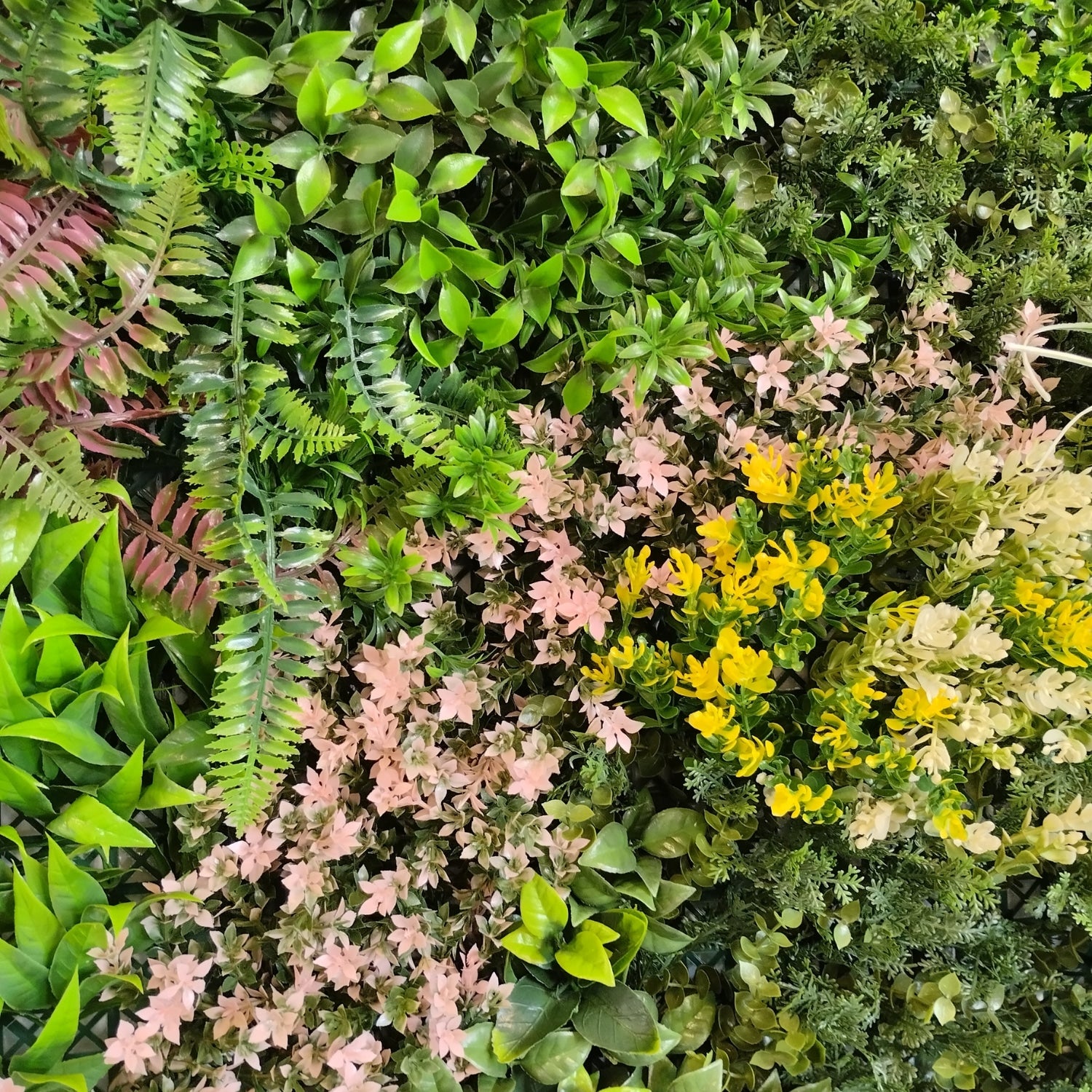 https://www.unicesped.com/wp-content/uploads/2025/12/Hojas-Sweet-garden-2.jpg