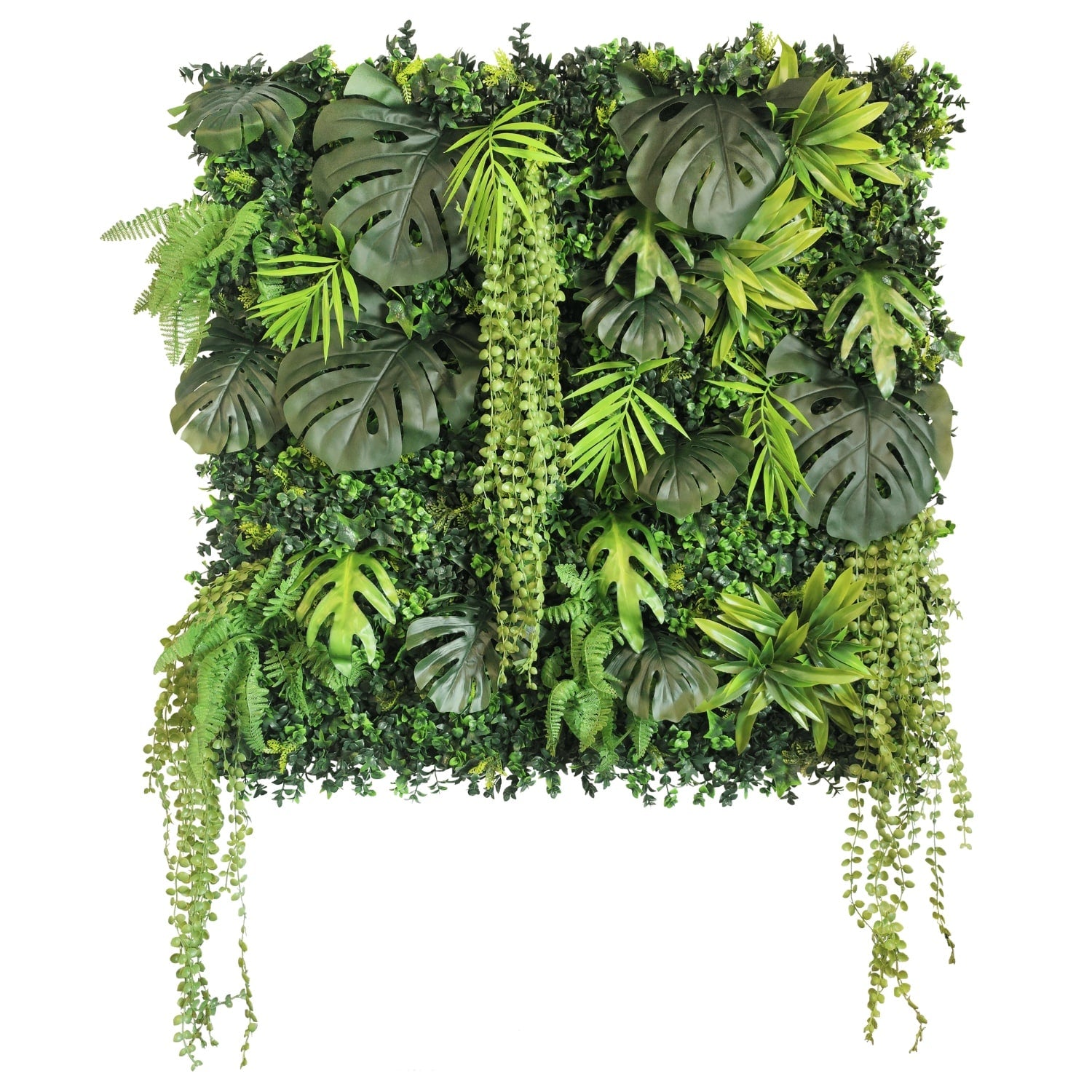 https://www.unicesped.com/wp-content/uploads/2025/12/Jardin-New-Rainforest.jpg