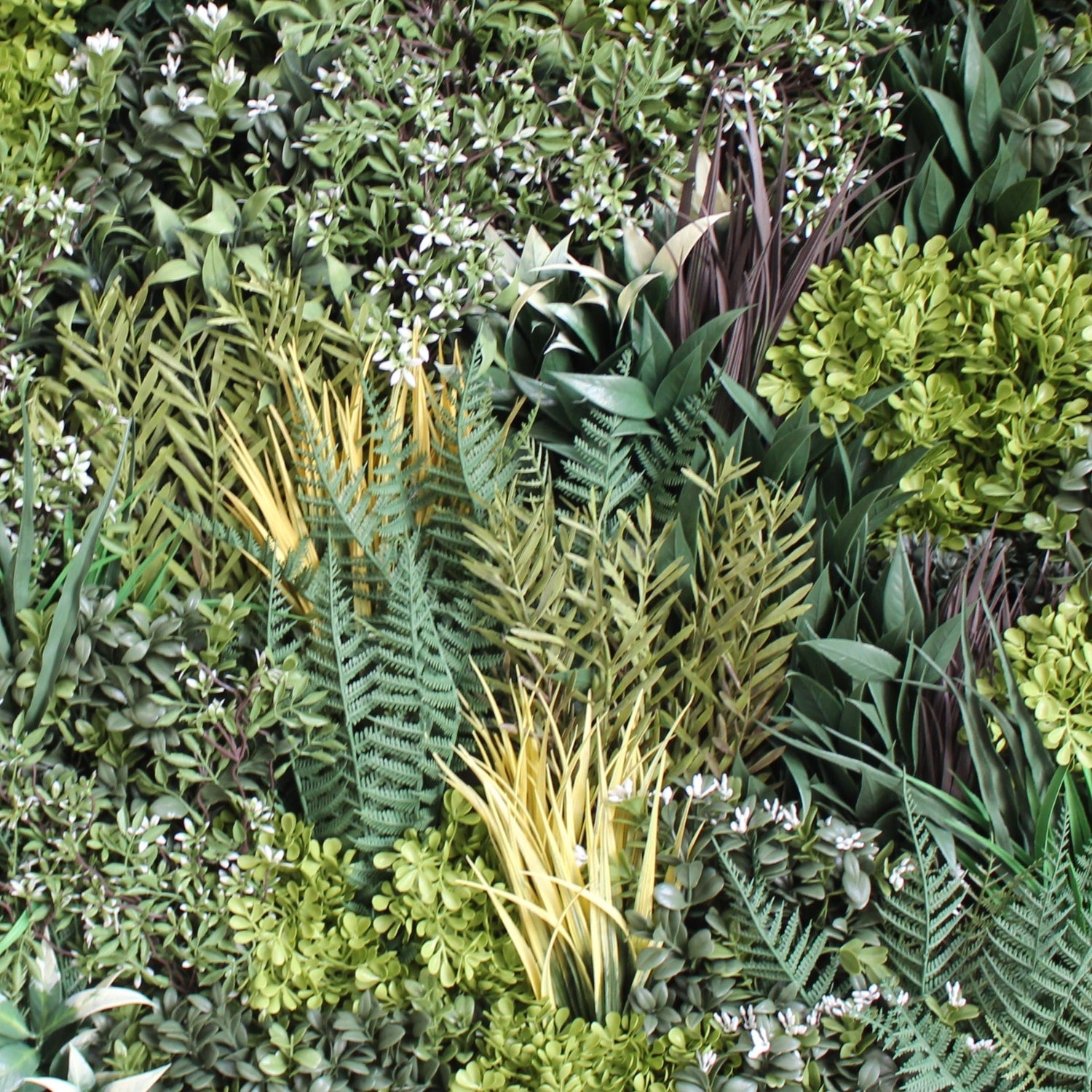 https://www.unicesped.com/wp-content/uploads/2025/12/Jardin-vertical-forestal.jpg