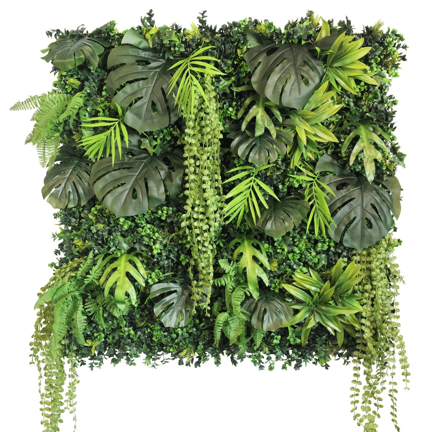 https://www.unicesped.com/wp-content/uploads/2025/12/Jardin-vertical-new-rainforest.jpg