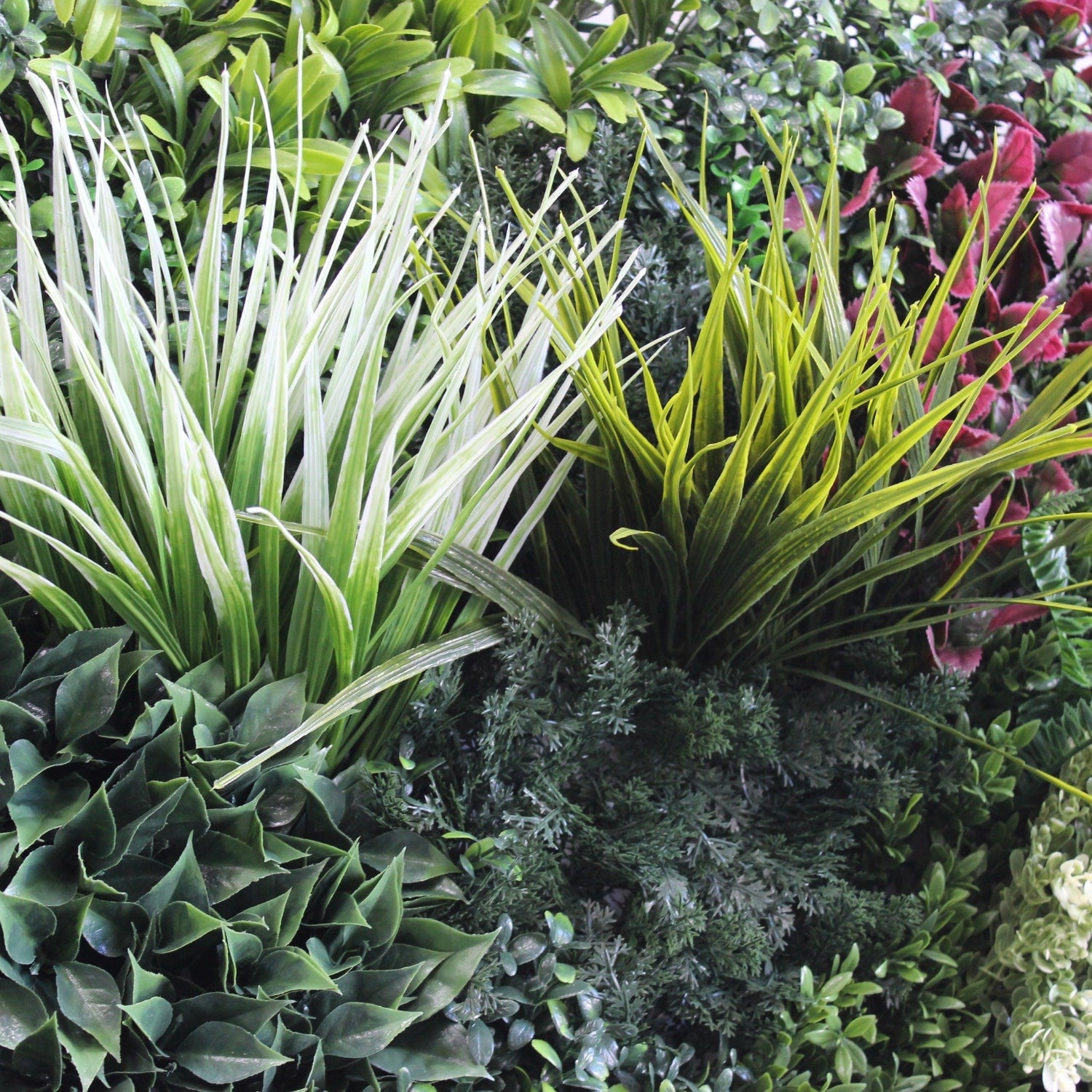 https://www.unicesped.com/wp-content/uploads/2025/12/Joint-Spring-Garden-detalle.jpg