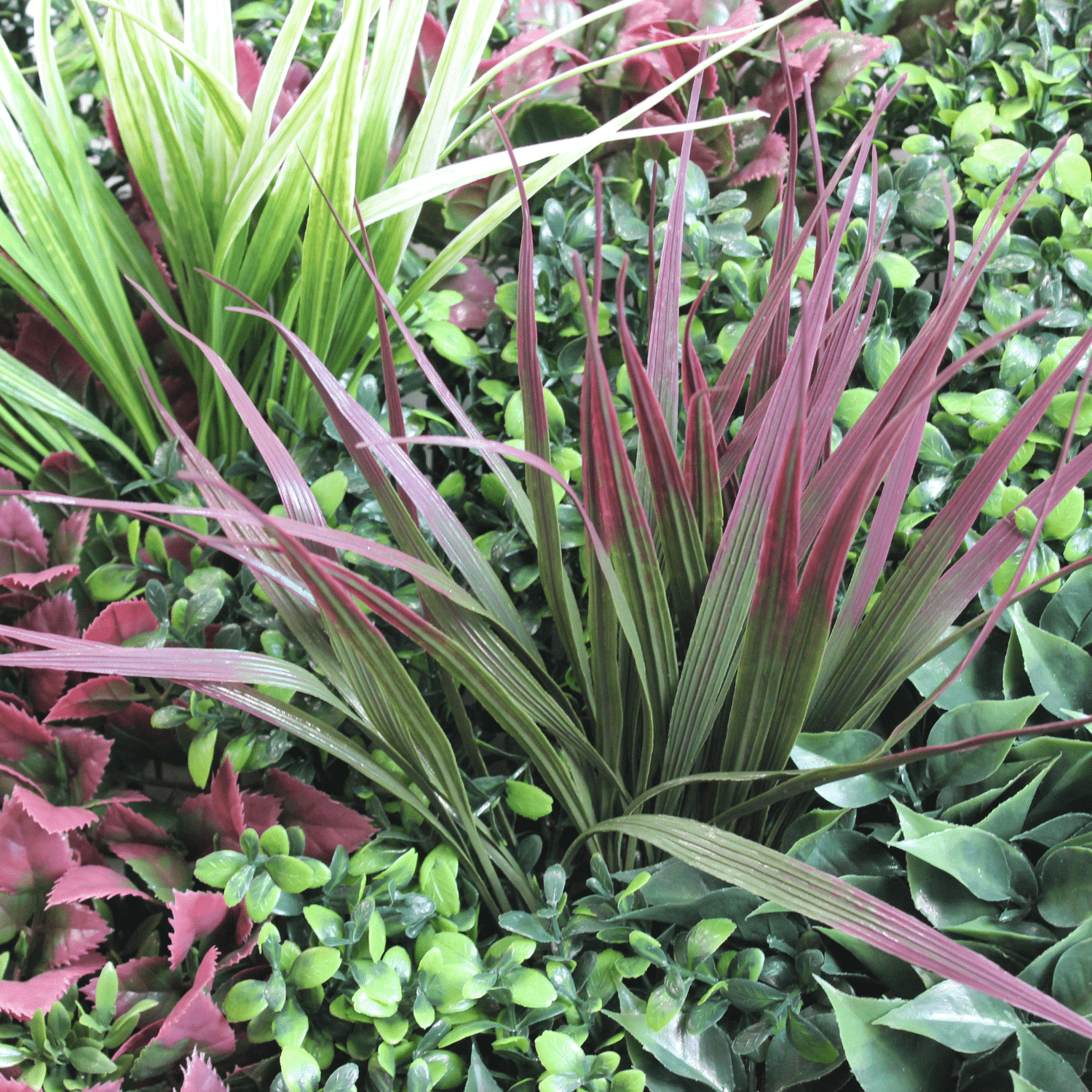 https://www.unicesped.com/wp-content/uploads/2025/12/Joint-Spring-garden-A-detalle.png