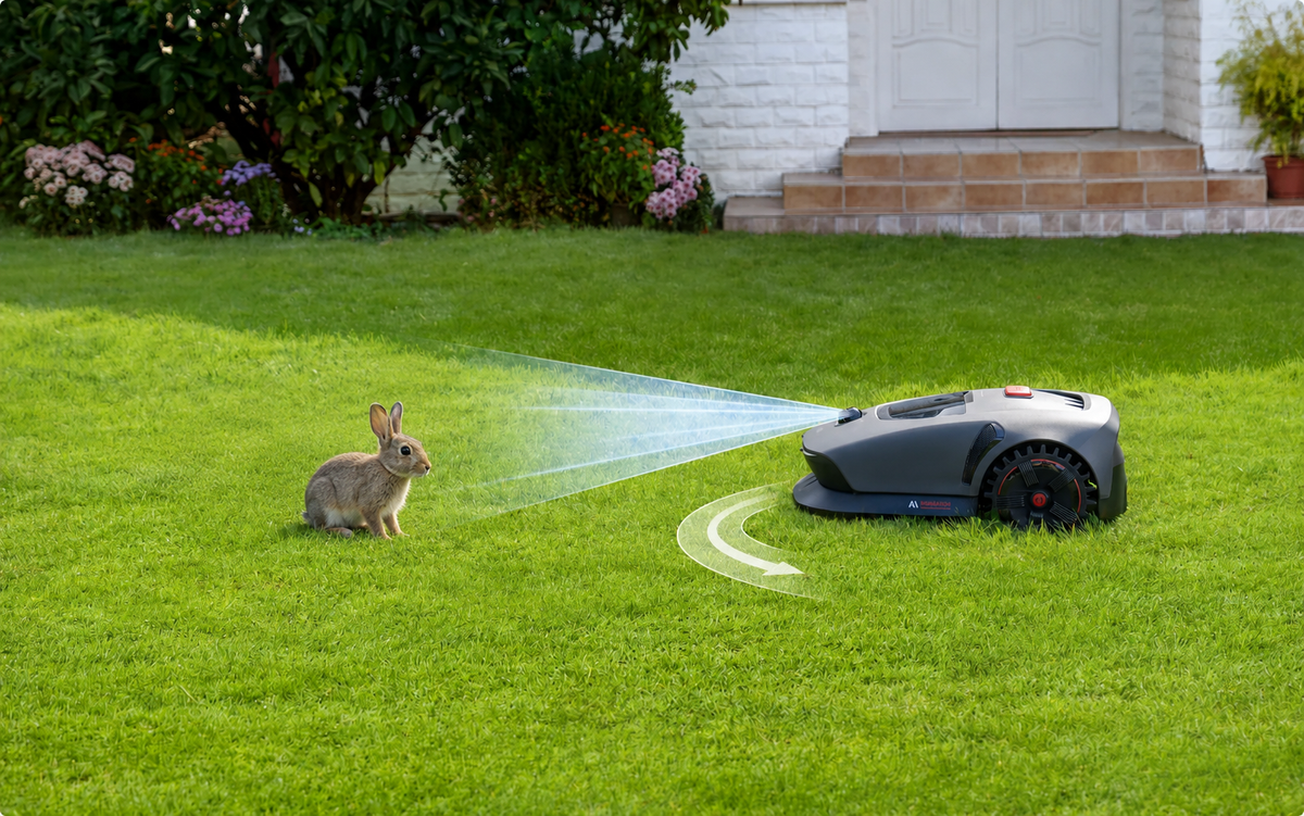 Kleine dieren