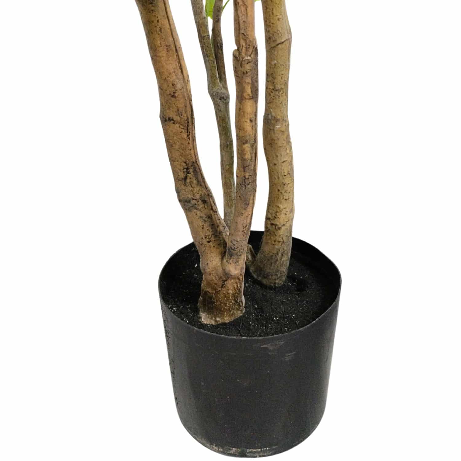 https://www.unicesped.com/wp-content/uploads/2025/12/Maceta-Arbol-Aralia.jpg