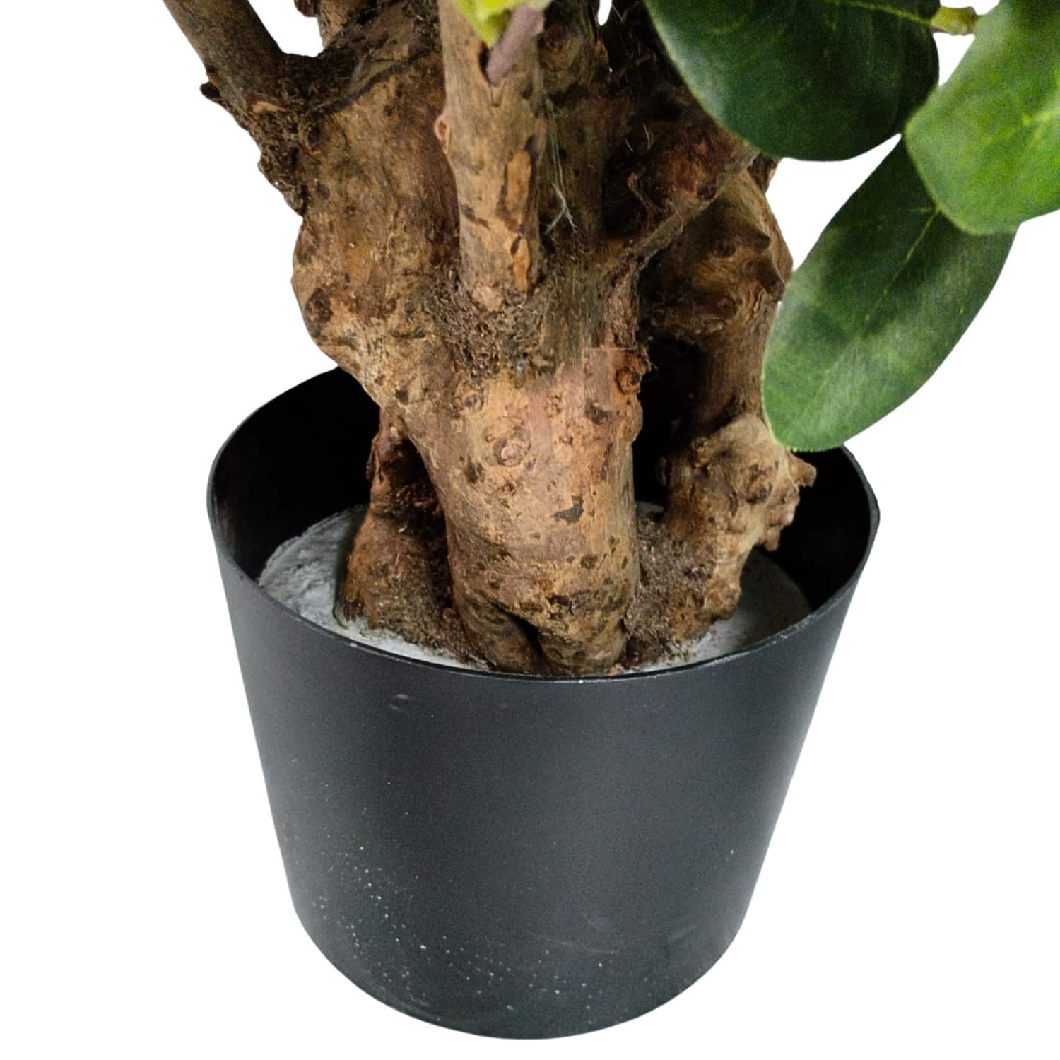 https://www.unicesped.com/wp-content/uploads/2025/12/Maceta-Ficus-Botanic-75-cm.jpg